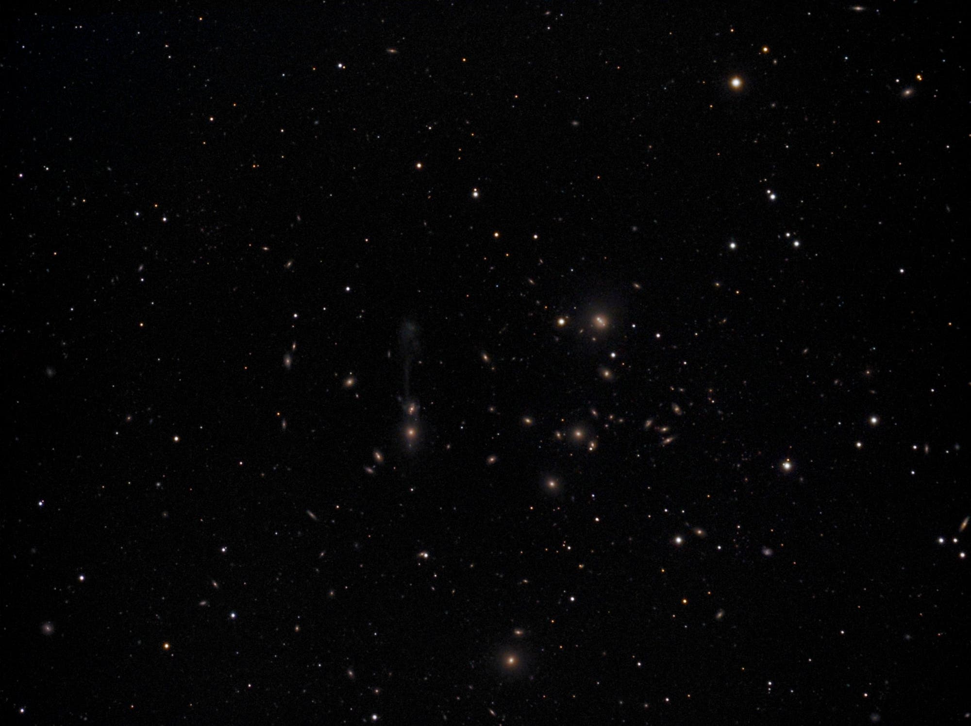 Abell 1185 um NGC 3561