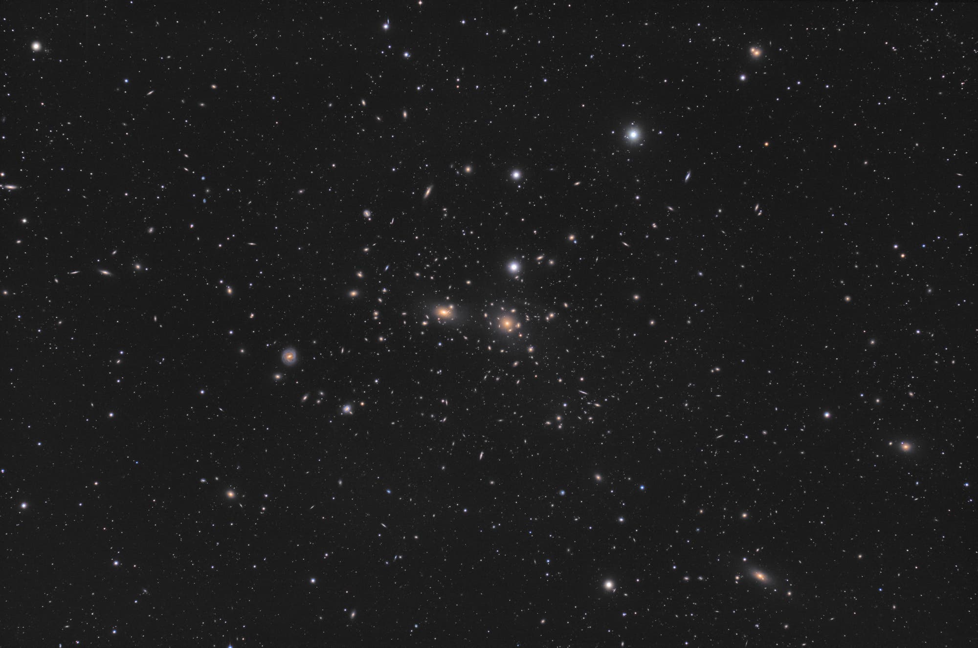 Abell 1656 - Der Coma-Galaxienhaufen