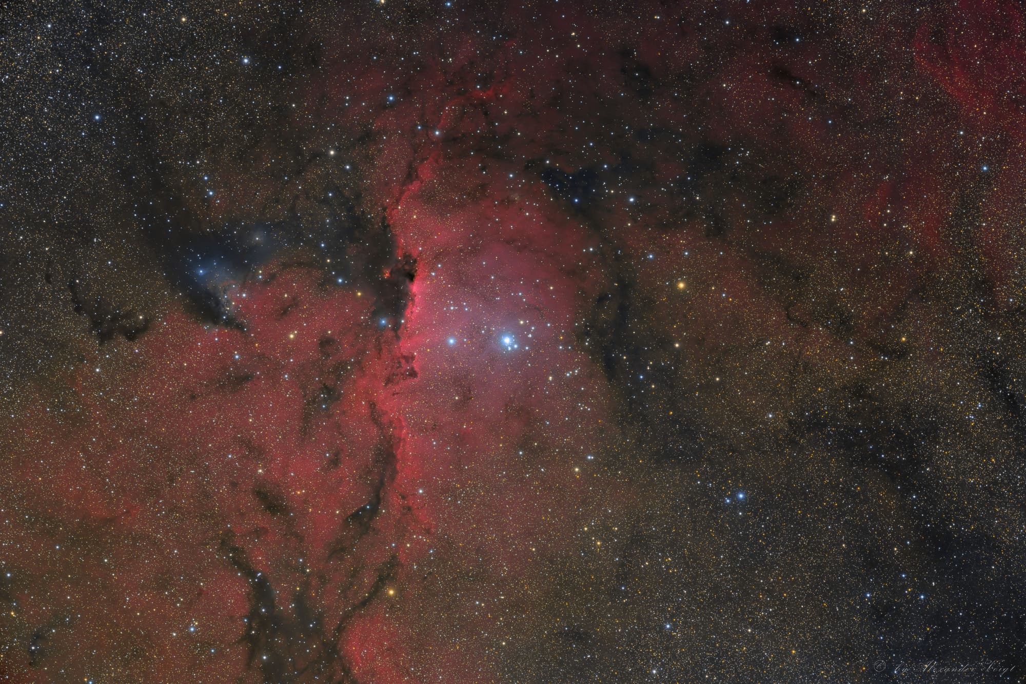 NGC 6193
