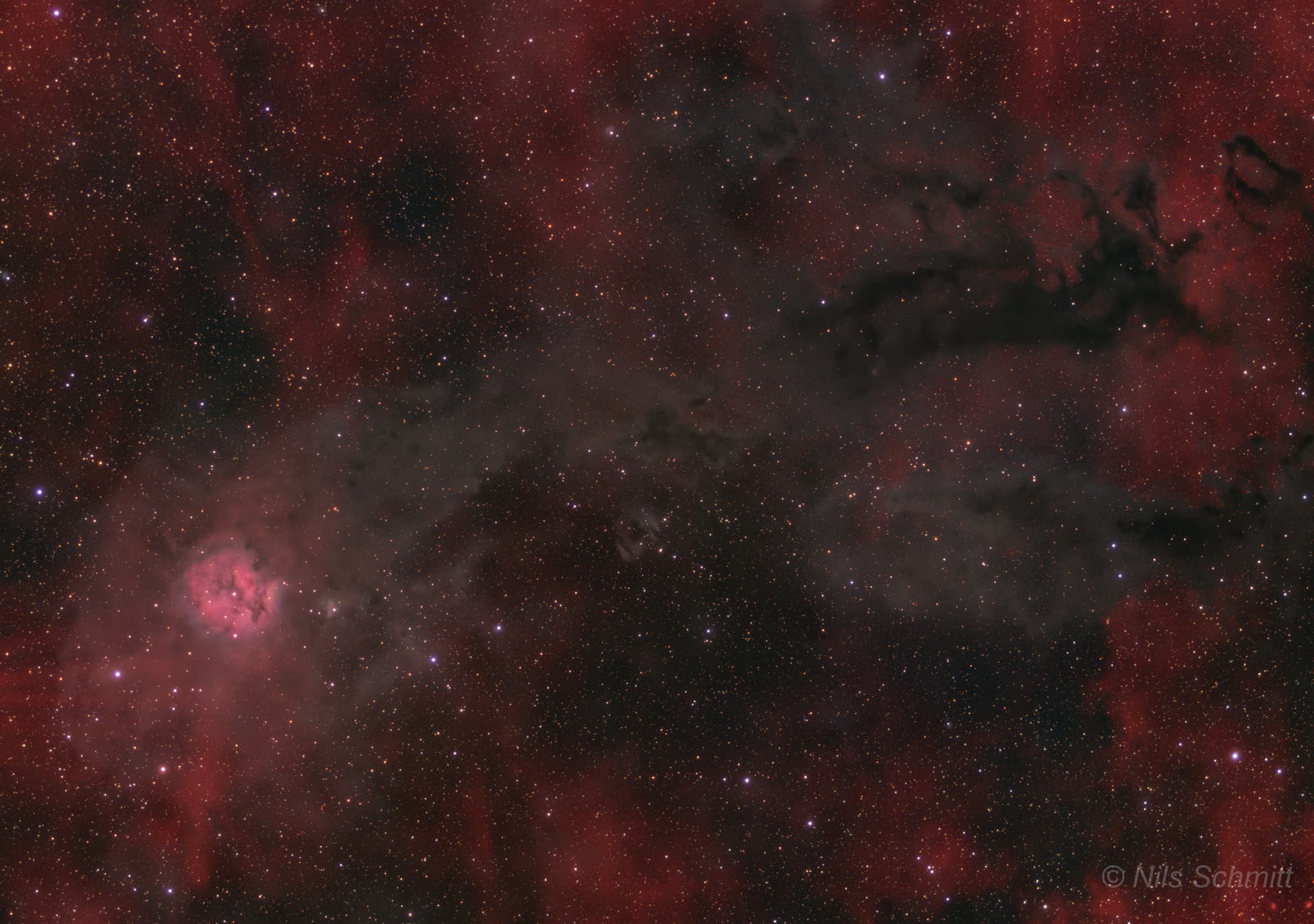 La cola de la Nebulosa Cocoon IC 5146