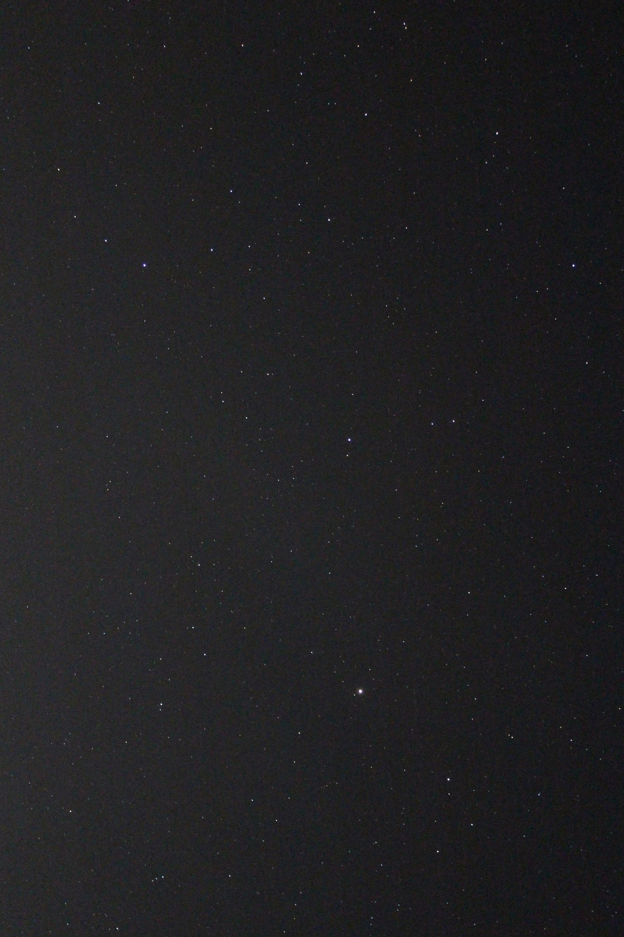 Bärenhüter und Nördliche Krone