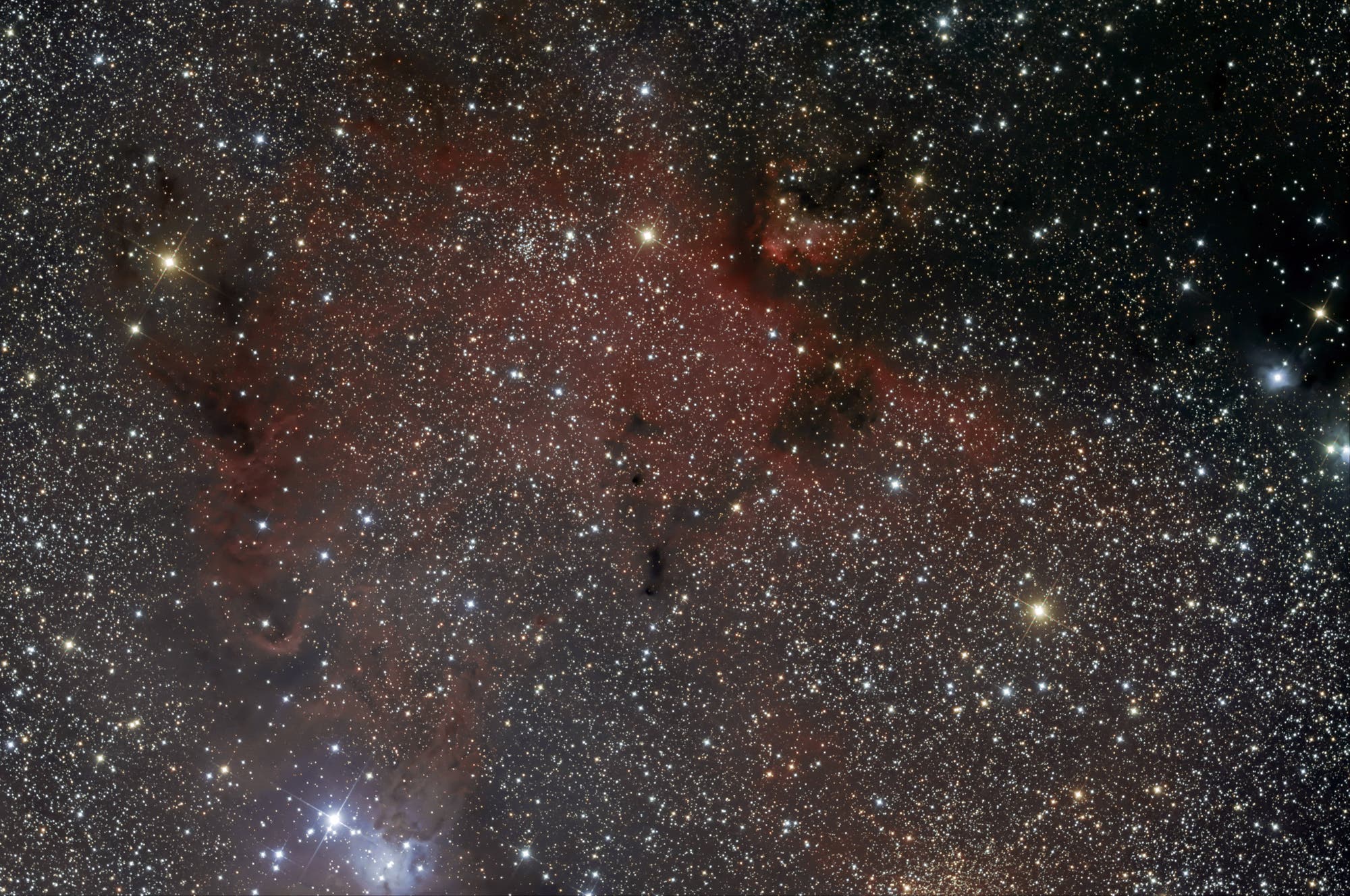 Dunkelwolken-Region in Barnard 39