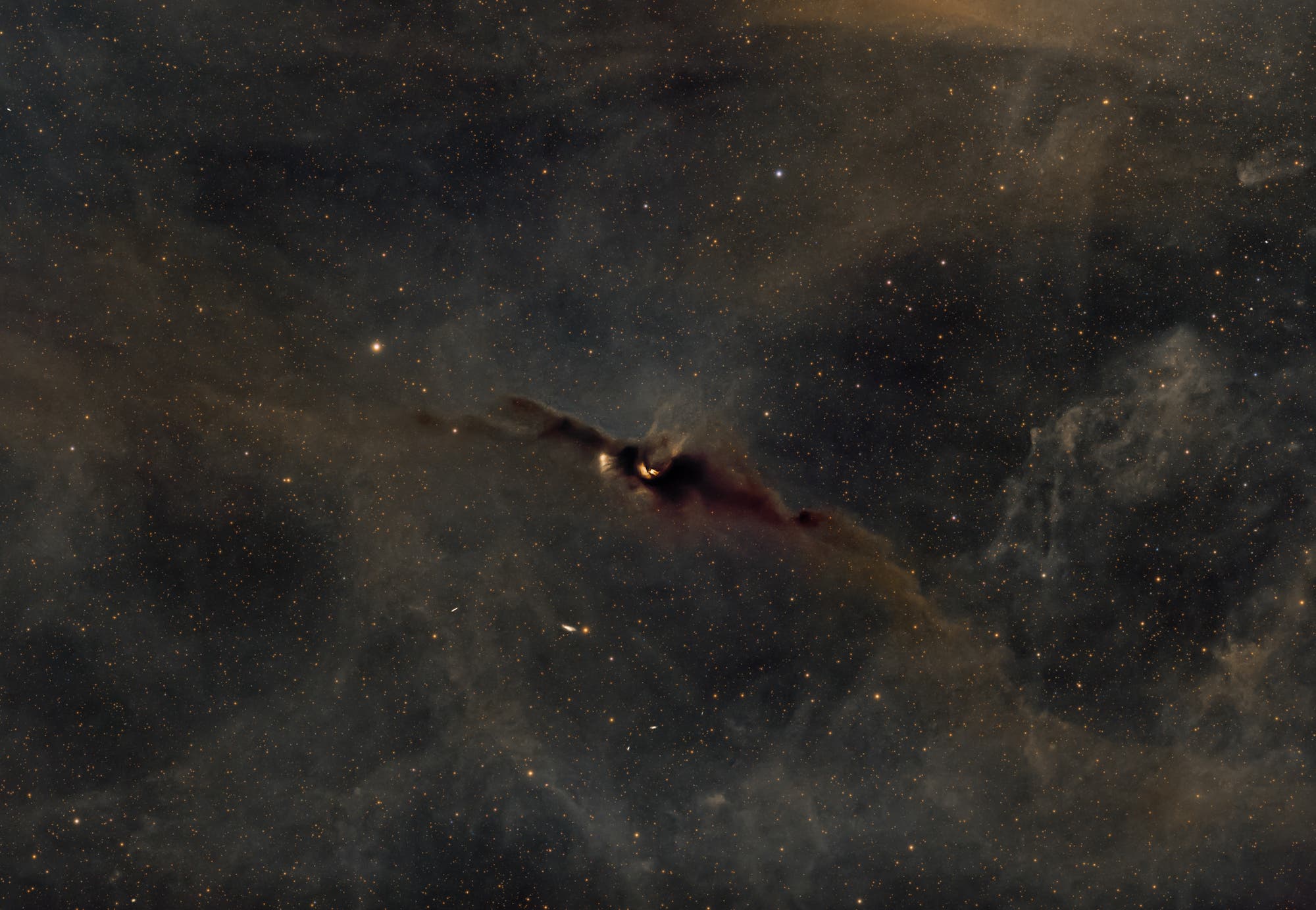 »Bat« dark nebula