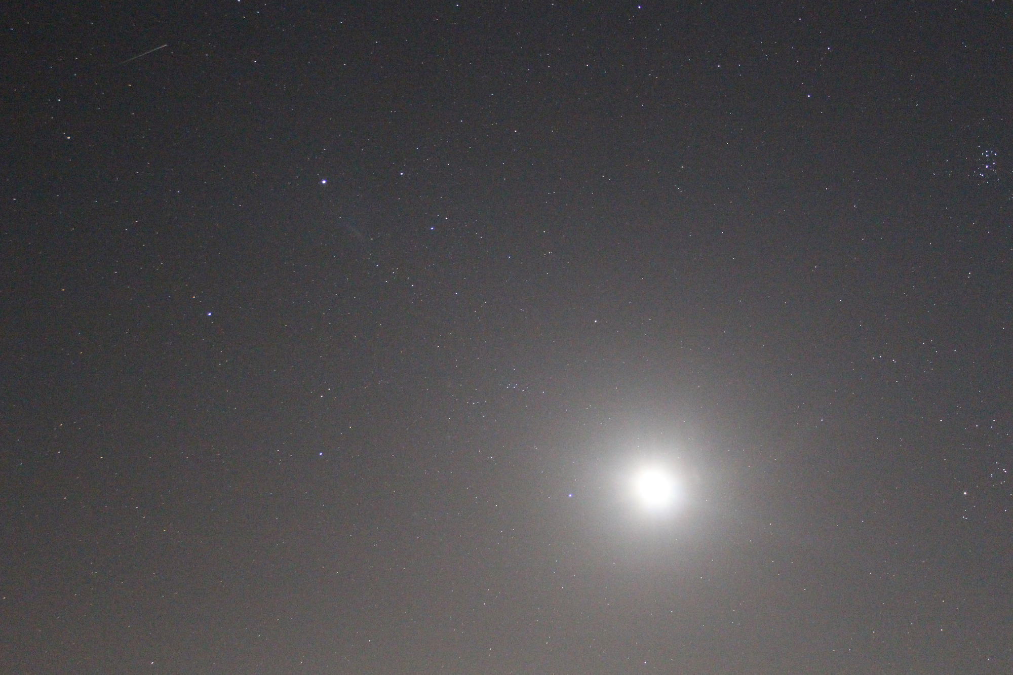 Perseiden-Meteor im Sternbild Fuhrmann