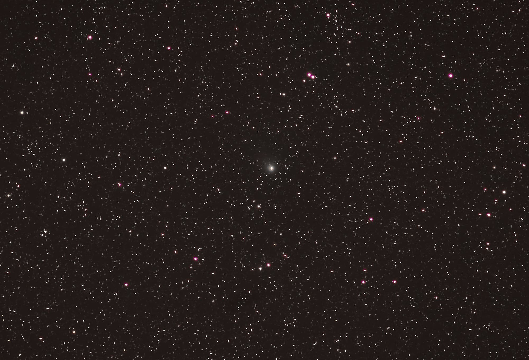 Komet C/2019 L3 Atlas