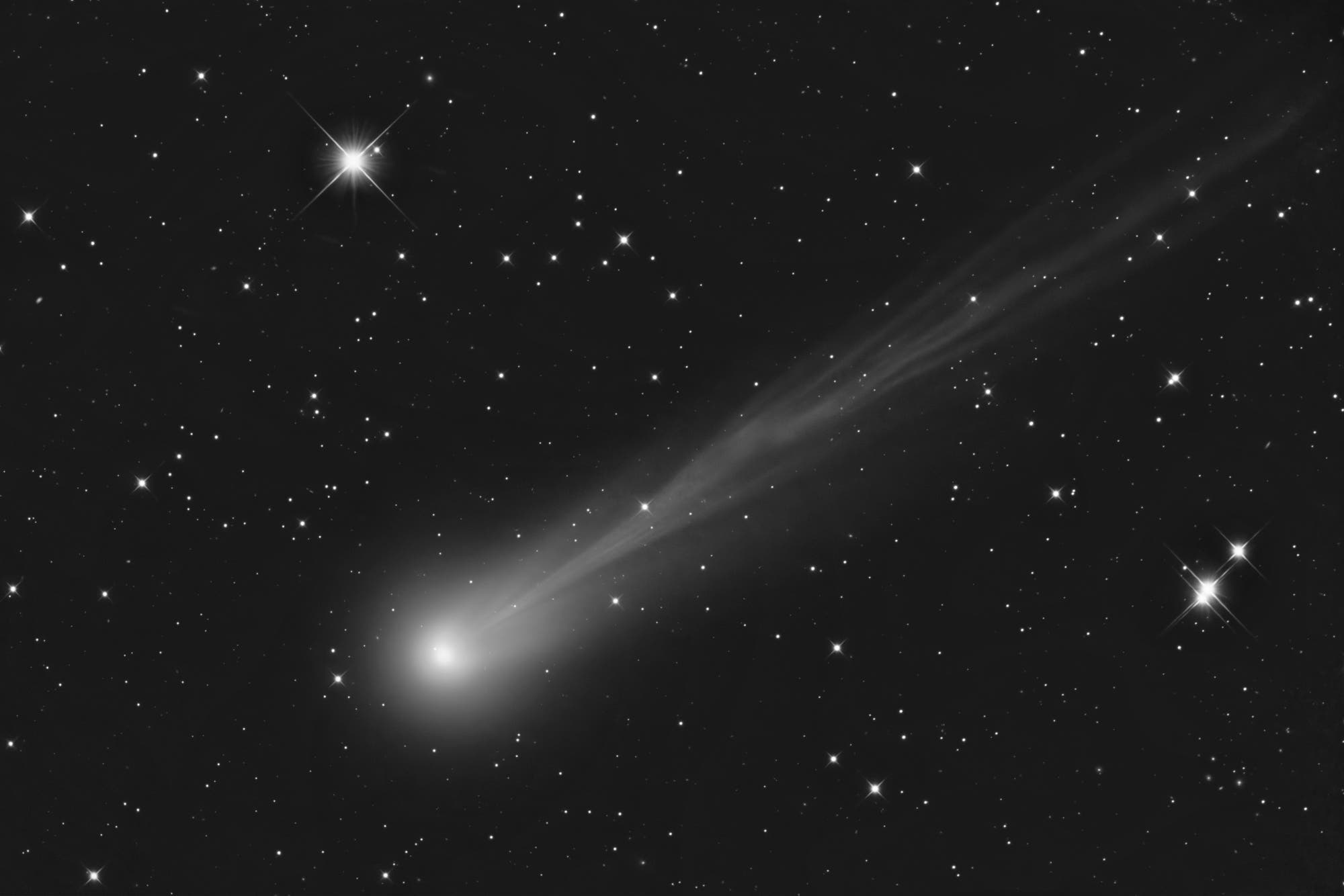 Komet C/2025 A6 (Lemmon)