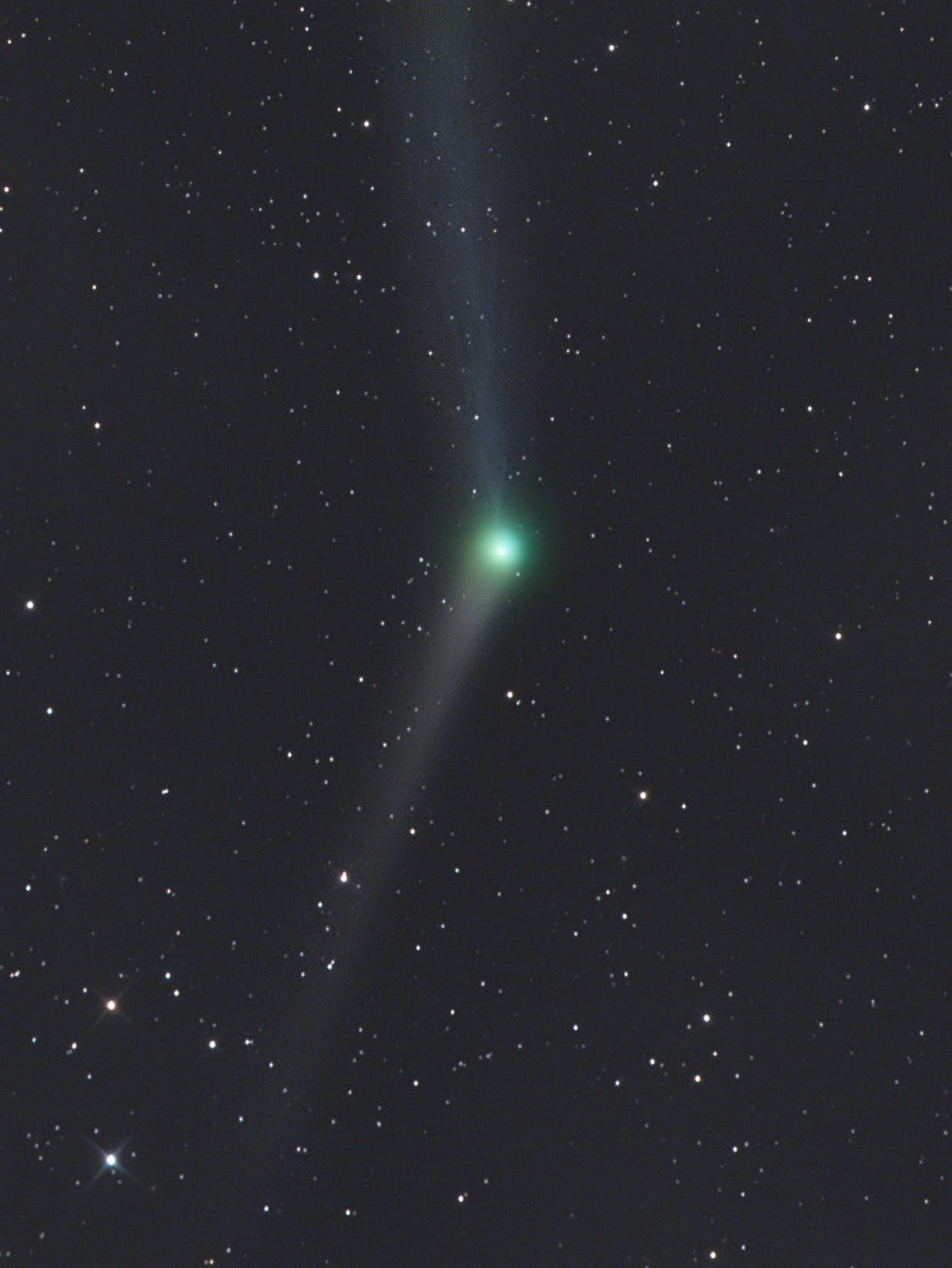 Komet C/2012 K1 Panstarrs wieder zurück