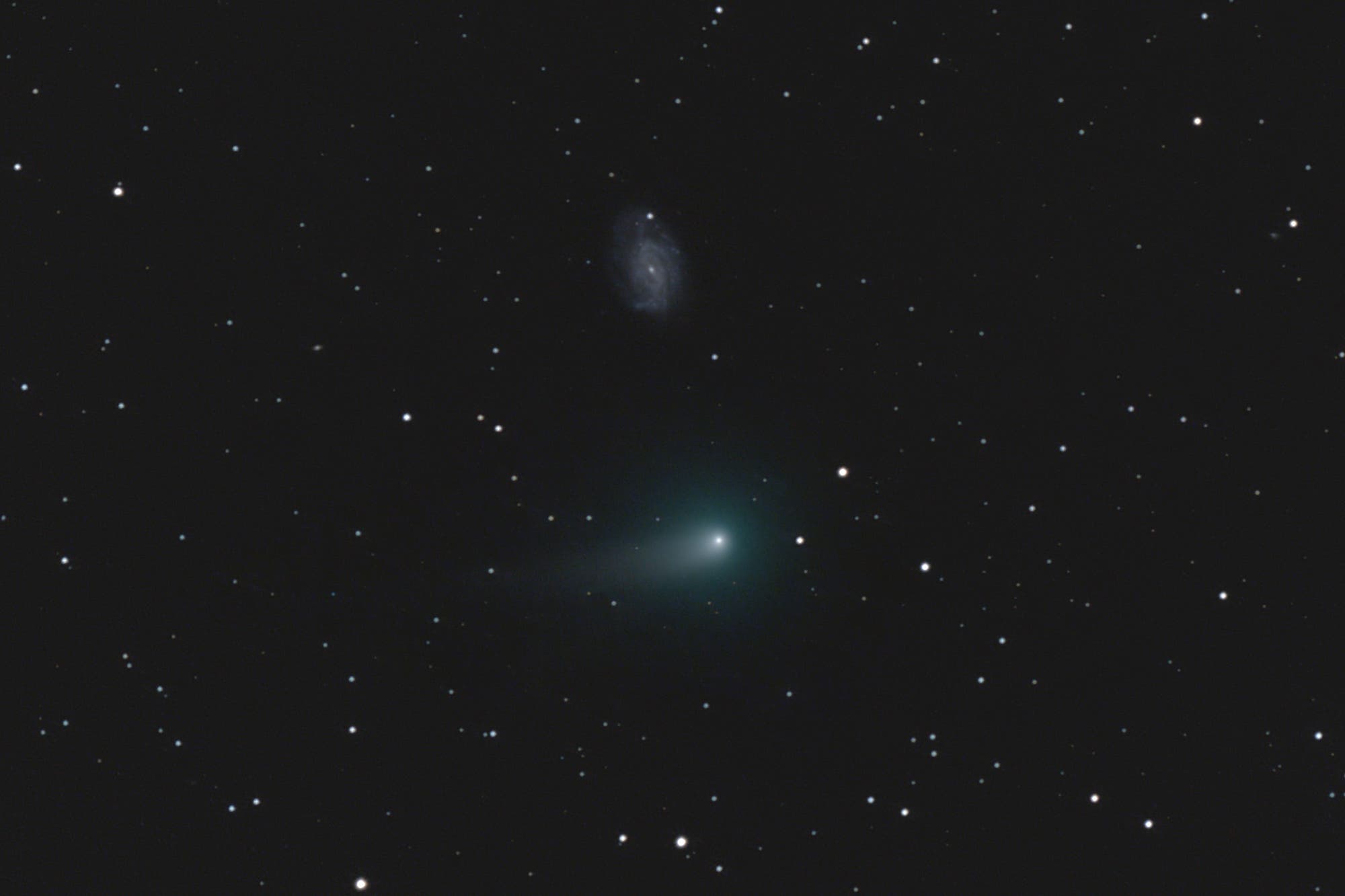 Komet C/2012 K1 PANSTARRS bei Galaxie NGC 3726