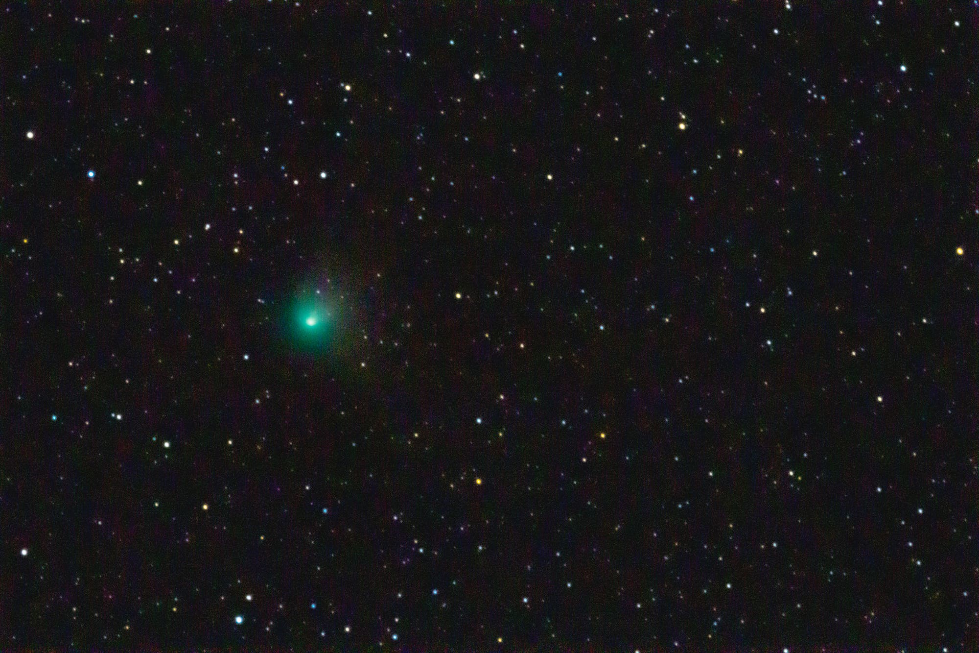 Der »Grüne Komet« C/2022 E3 (ZTF)