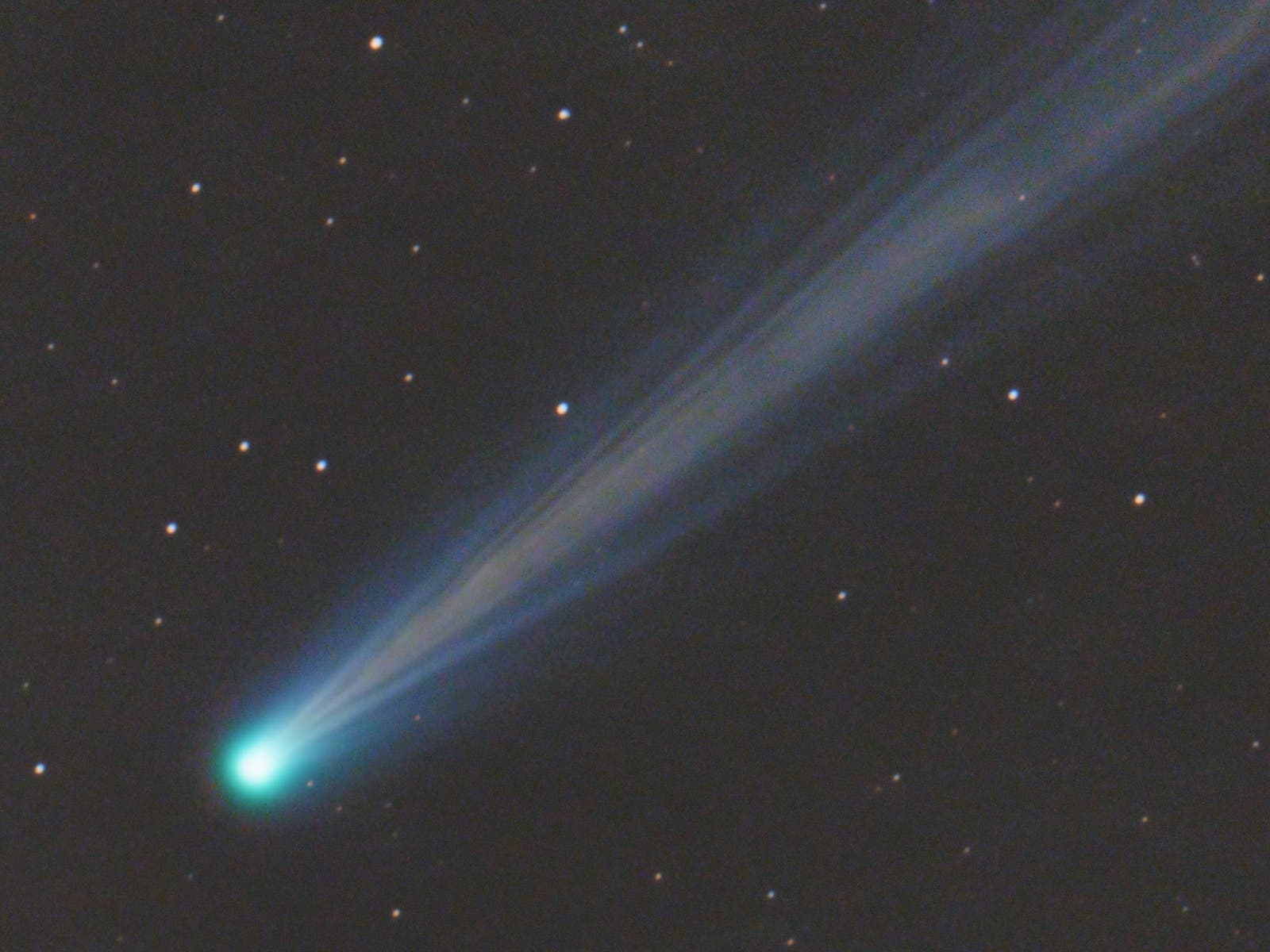 Detailaufnahme des Kometen C/2023 P1 Nishimura