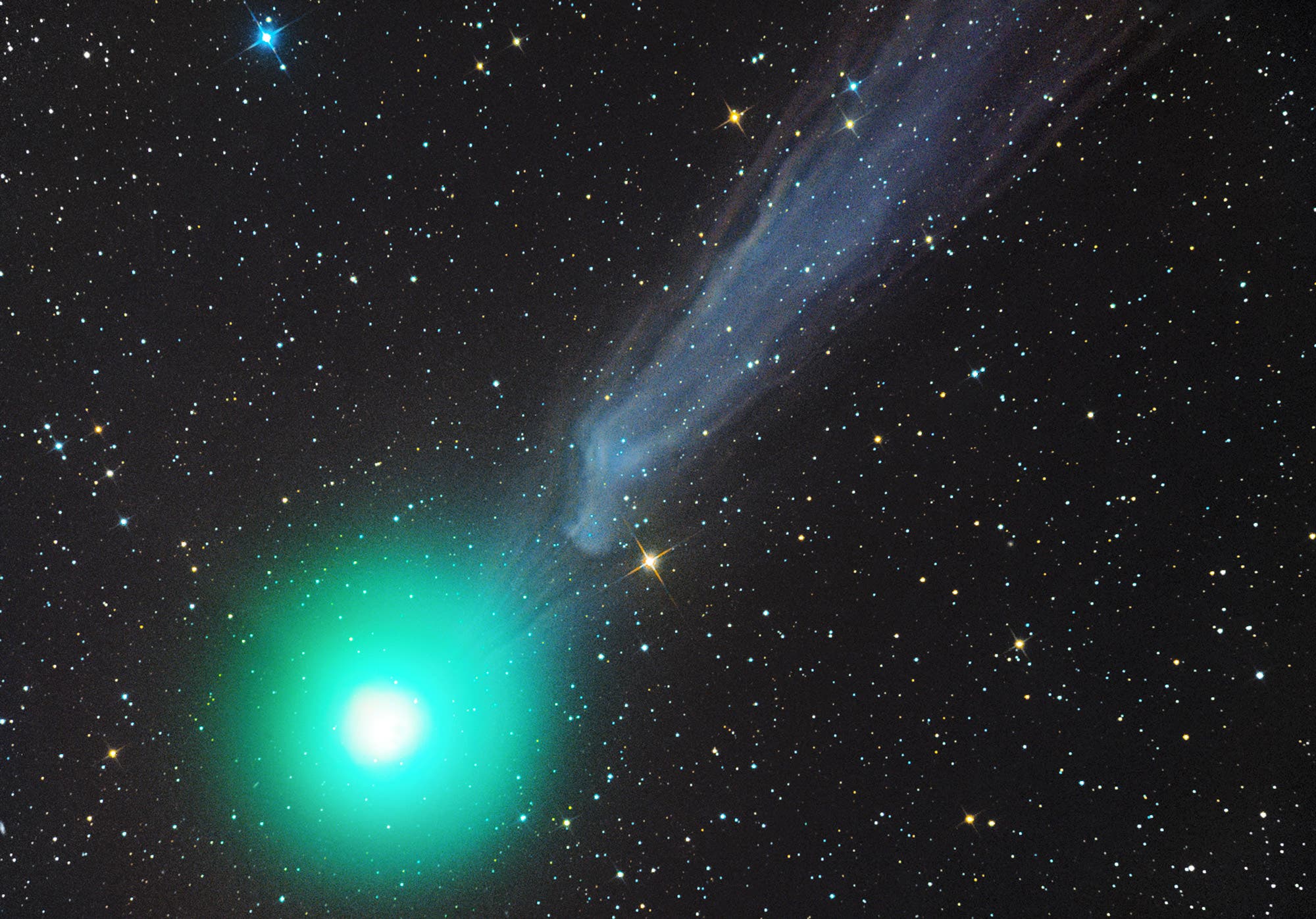 Komet C/2014 Q2 (Lovejoy) am 8. Januar 2015