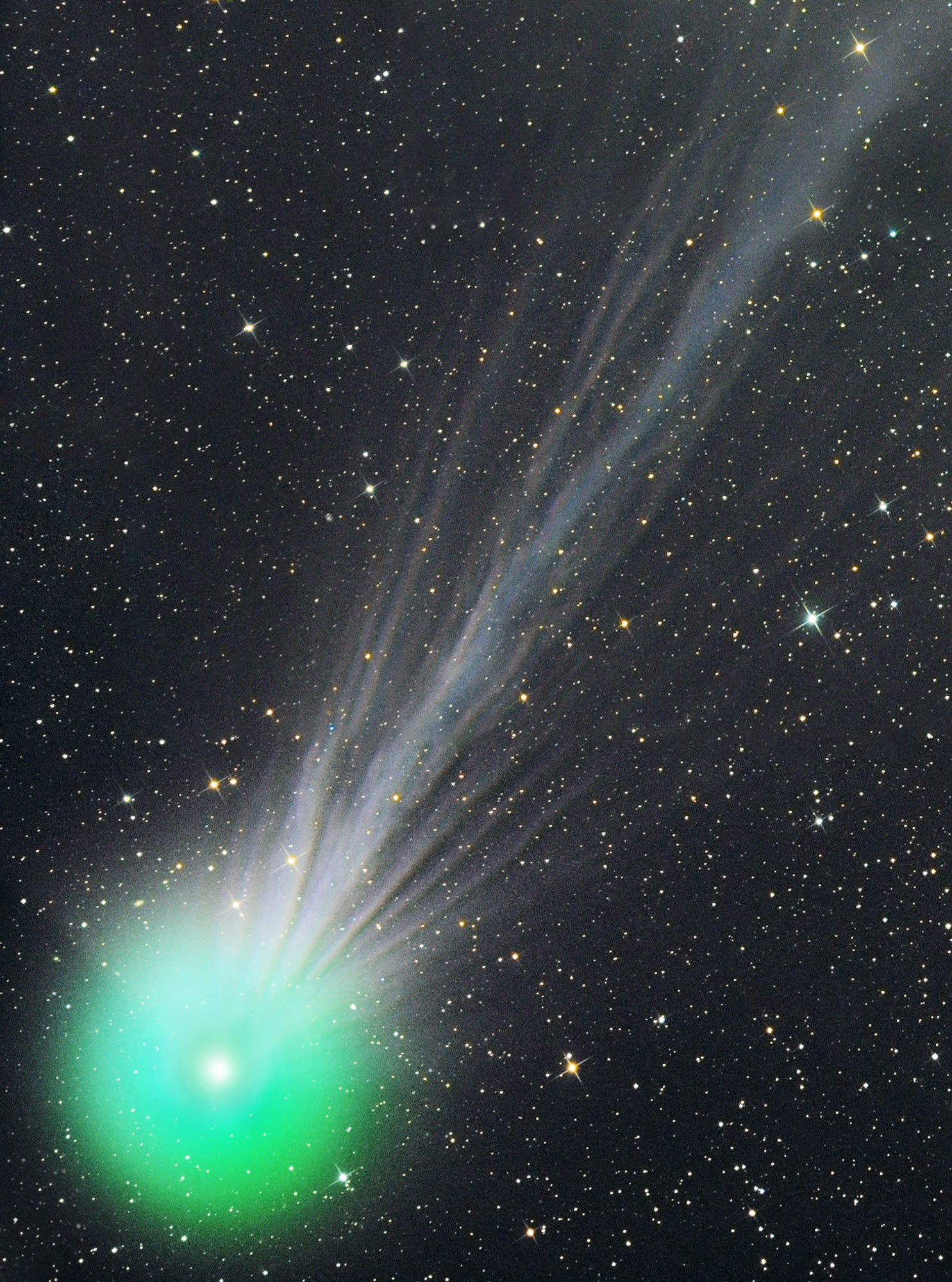 Komet C/2014 Q2 (Lovejoy) am 11. Januar 2015