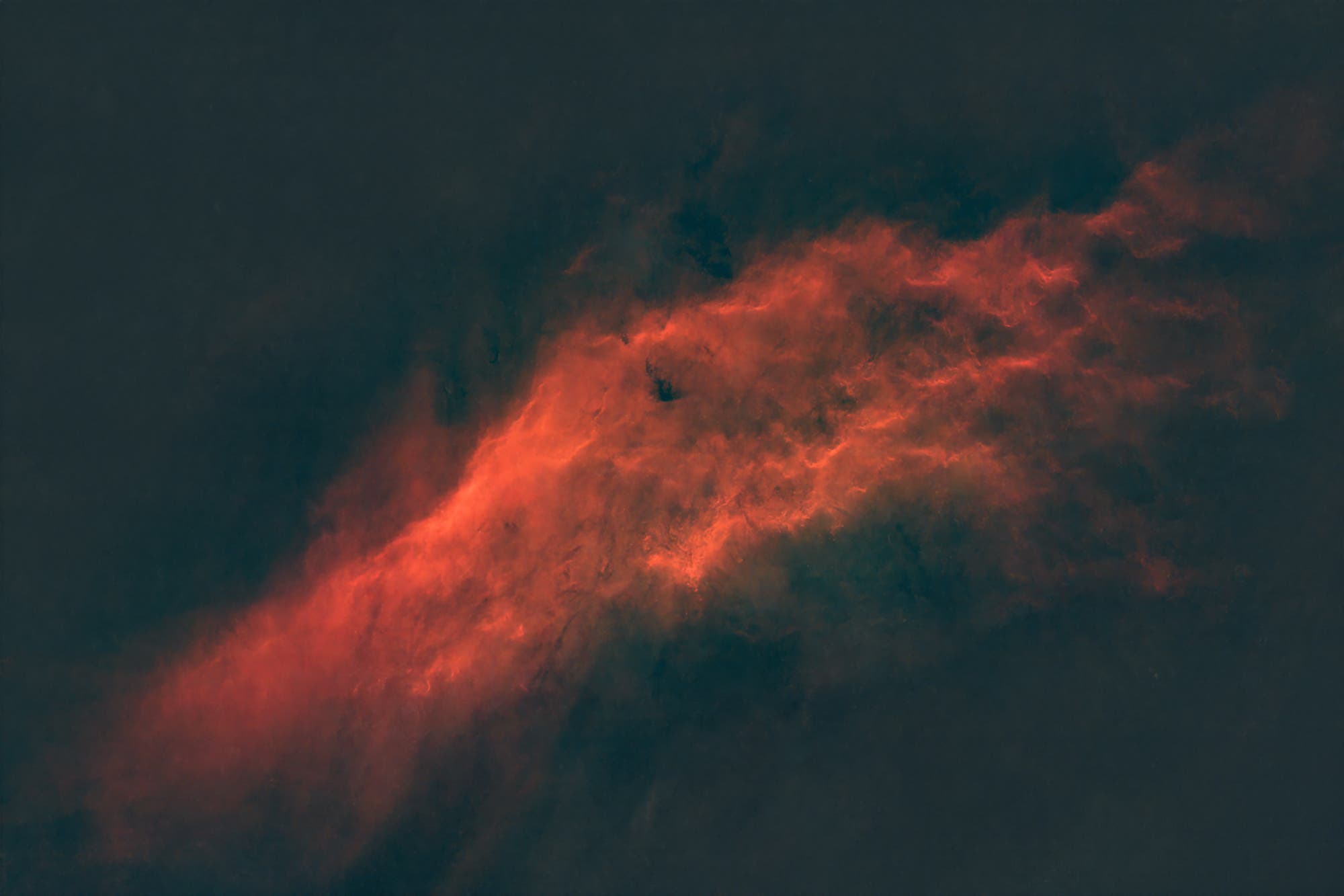 The California Nebula (NGC 1499)