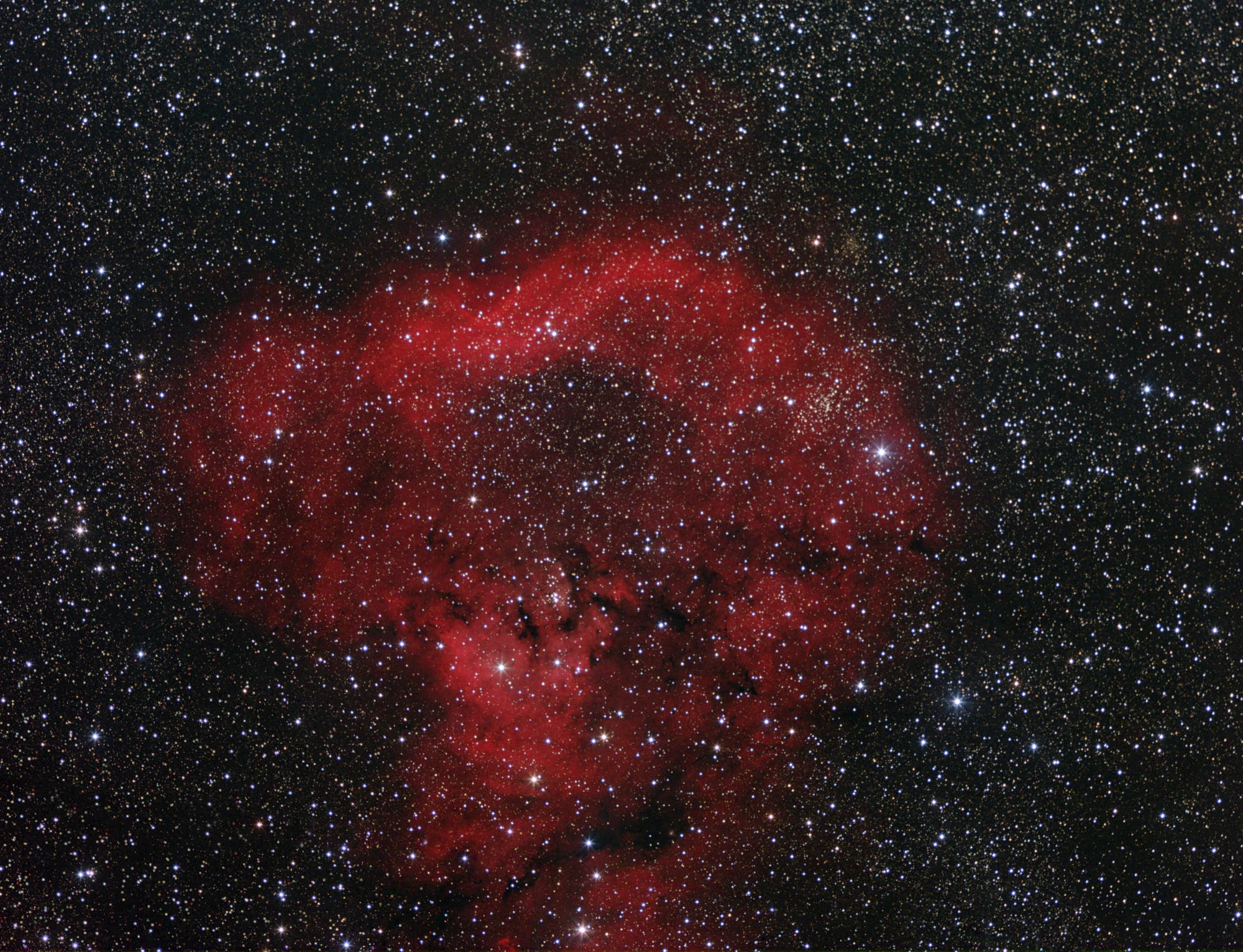 Ced 214 und NGC 7822
