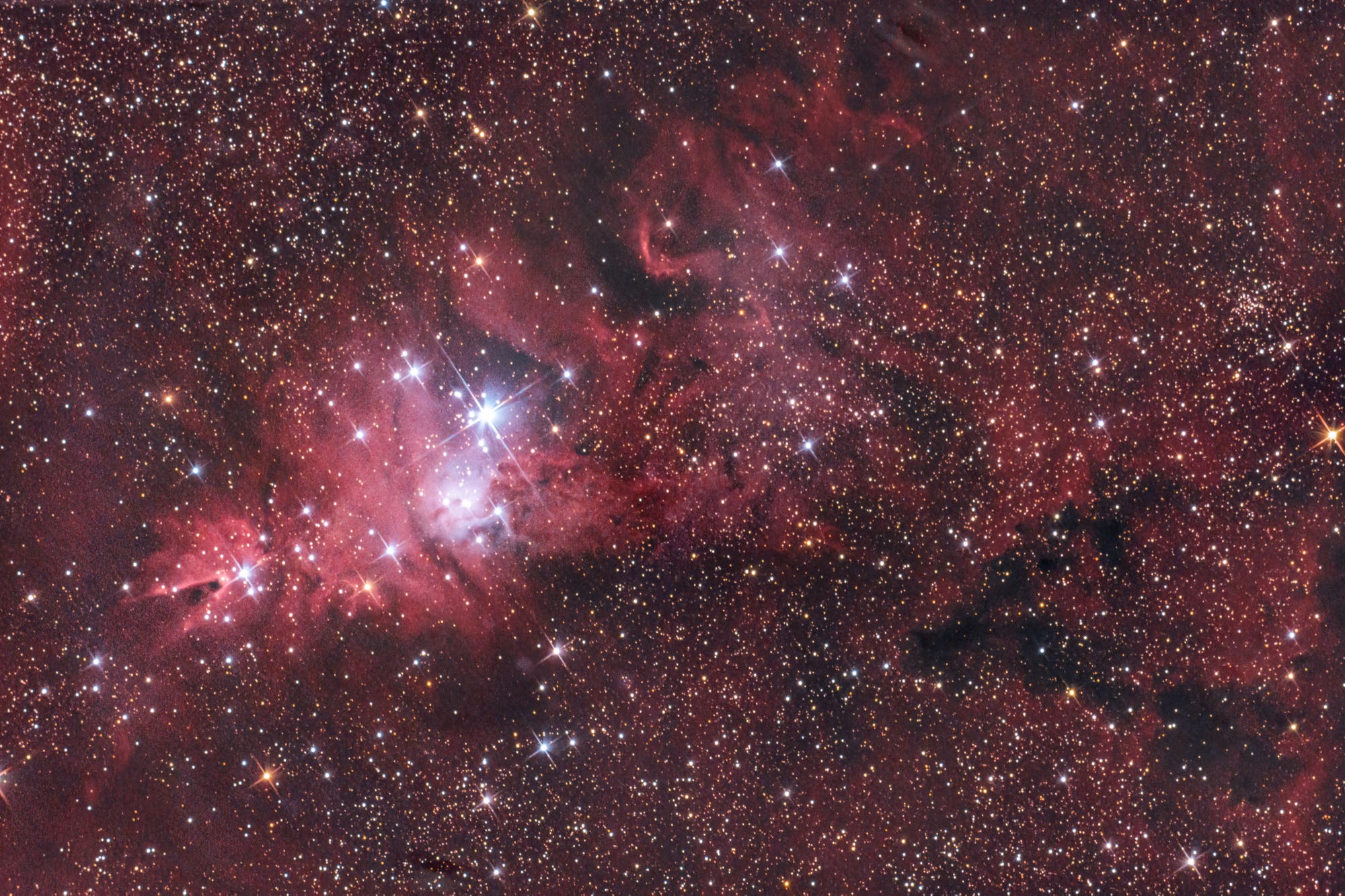 Weihnachtsbaum-Haufen, NGC 2264