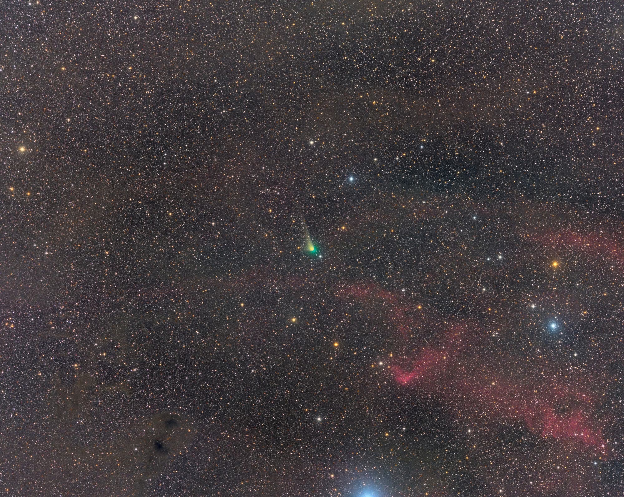 Comet and Interstellar Dust