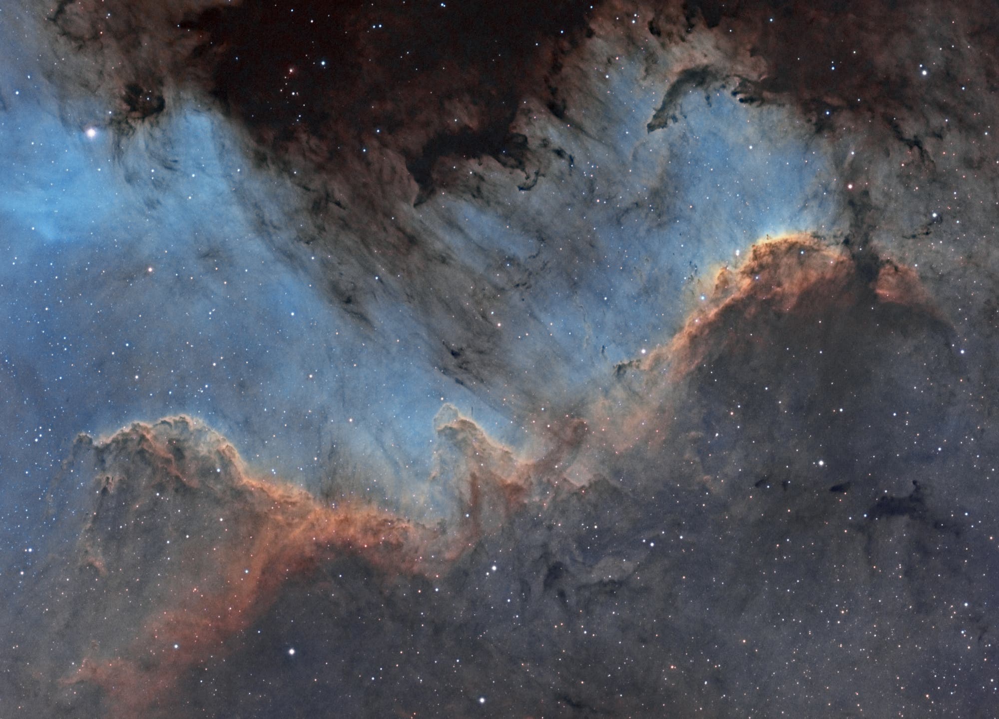 NGC 7000 Cygnus Wall