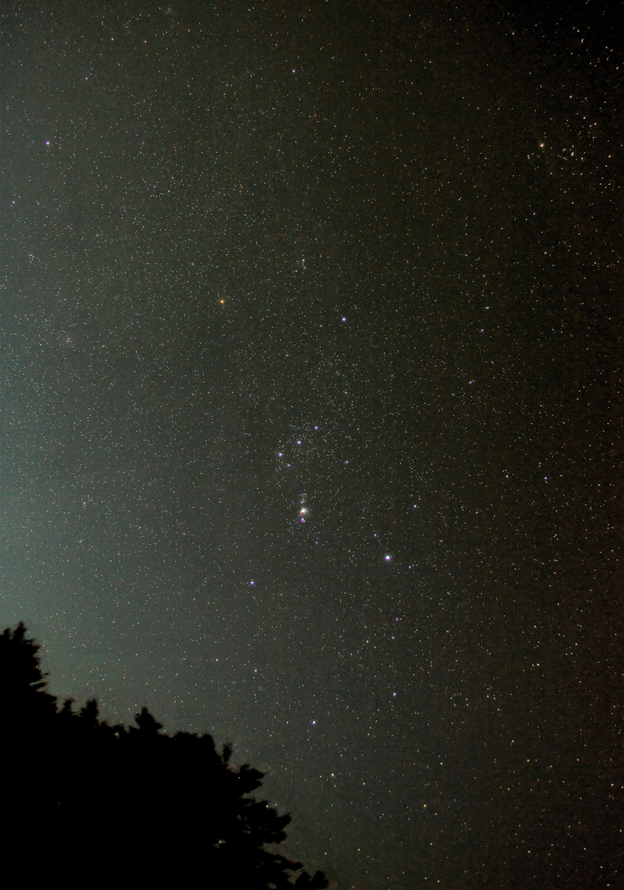 DER WINTER KOMMT: Orion in der Morgendämmerung