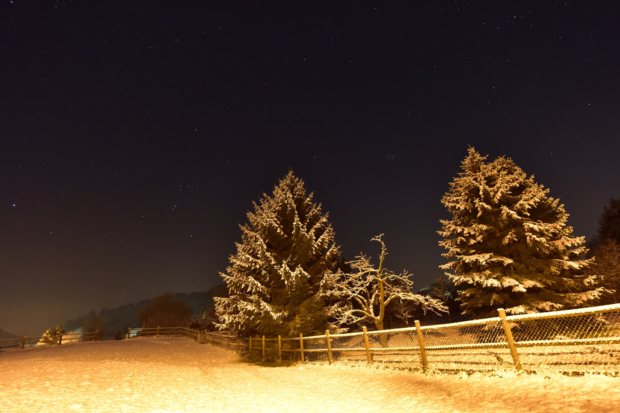 Winternacht mit Komet Lovejoy C/2014 Q2
