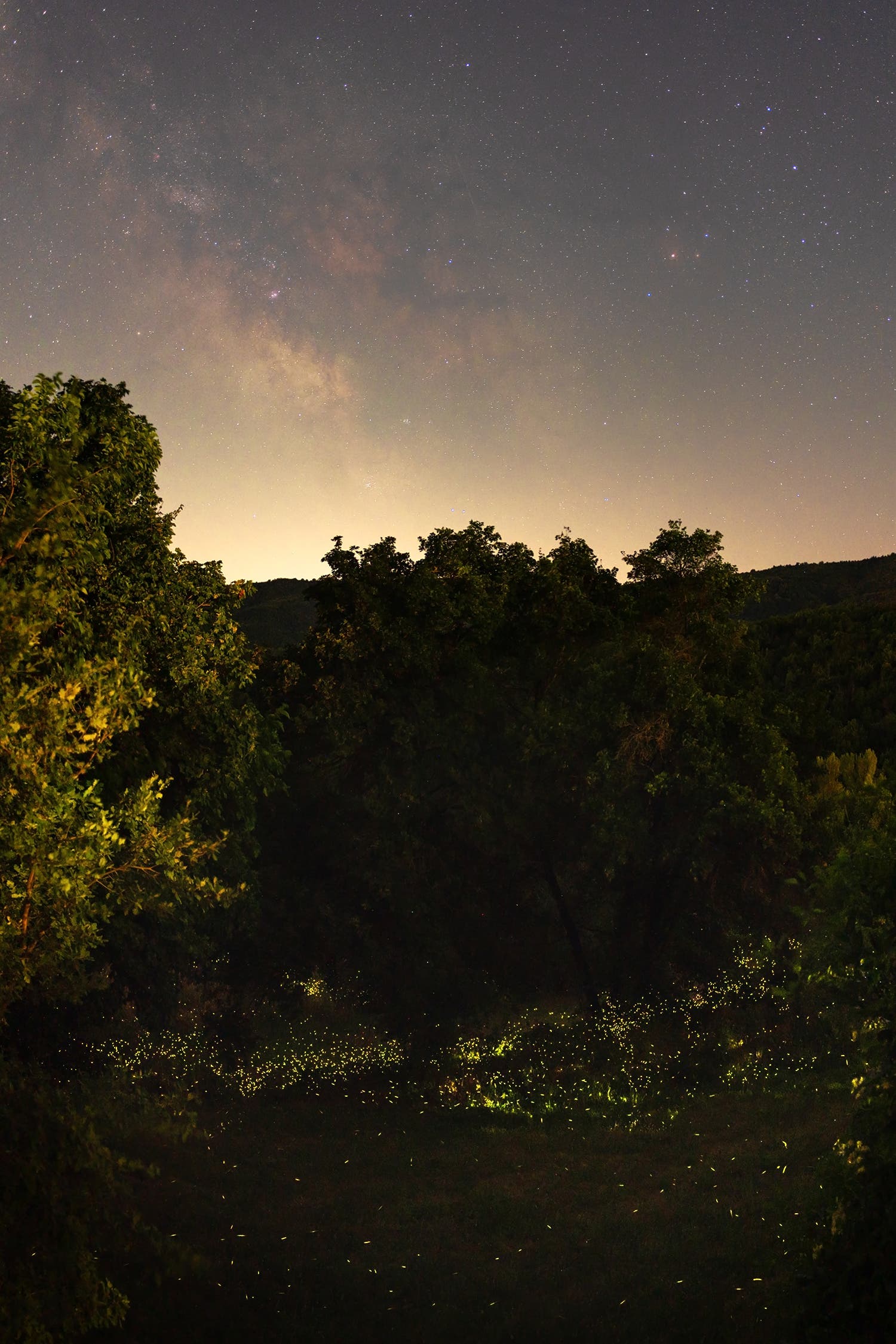 Unter der Milchstraße – Glühwürmchen in der Toskana