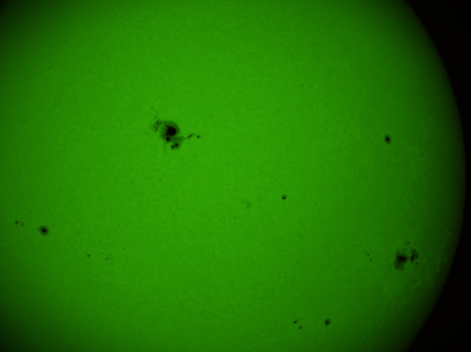 Die Sonne am 14. August 2024