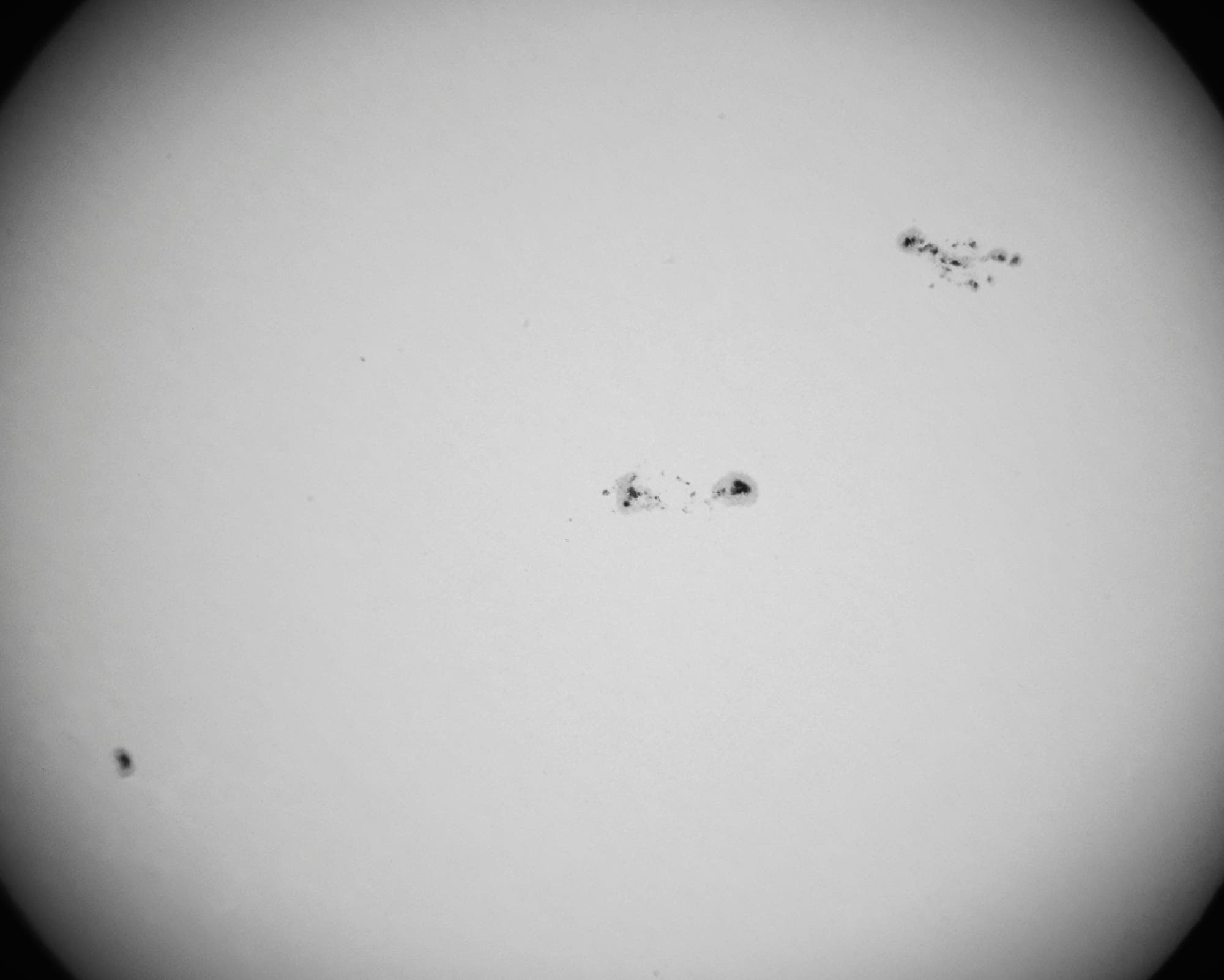 Die Sonne am 14. Oktober 2025