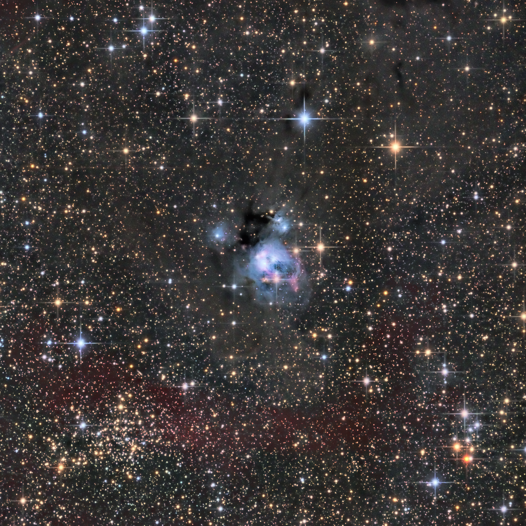 NGC 7129 - Die kosmische Rosenknospe