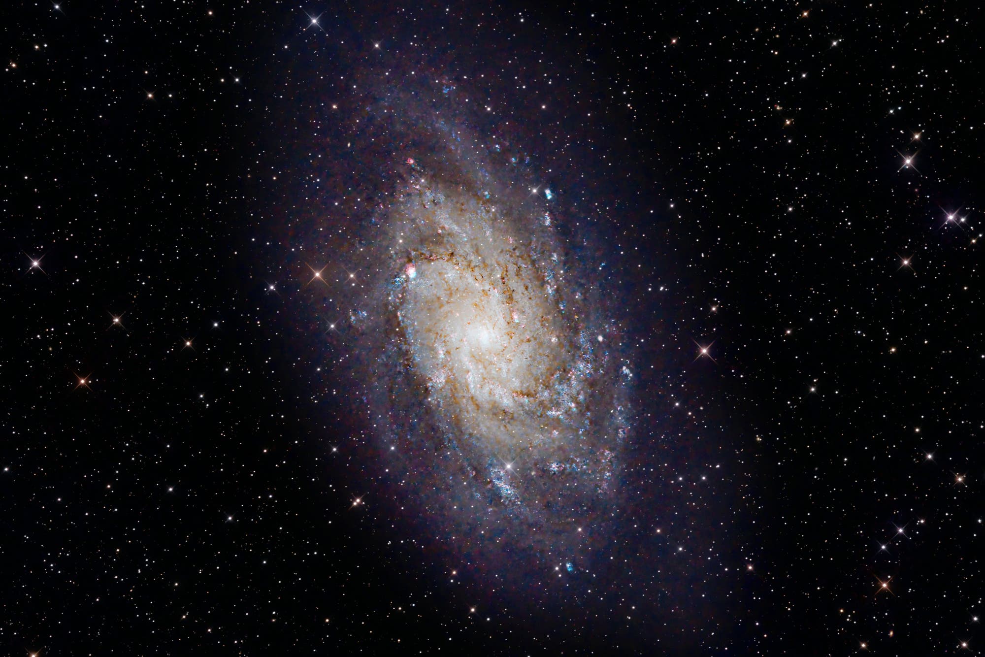 Triangulum-Galaxie, M33