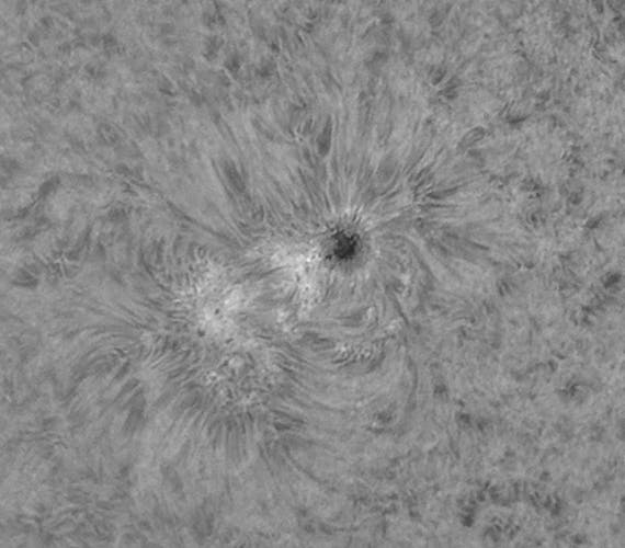 Sonnenfleck 1072 vom 24.5.2010 in H-alpha