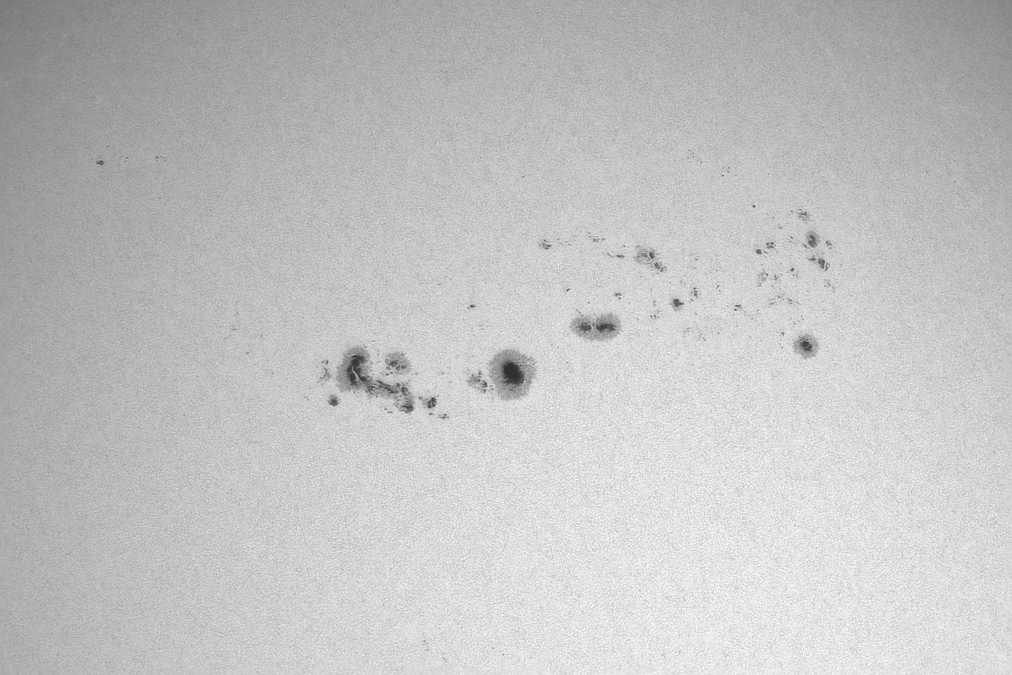 Sonnenfleckengruppe am 4. Februar 2025