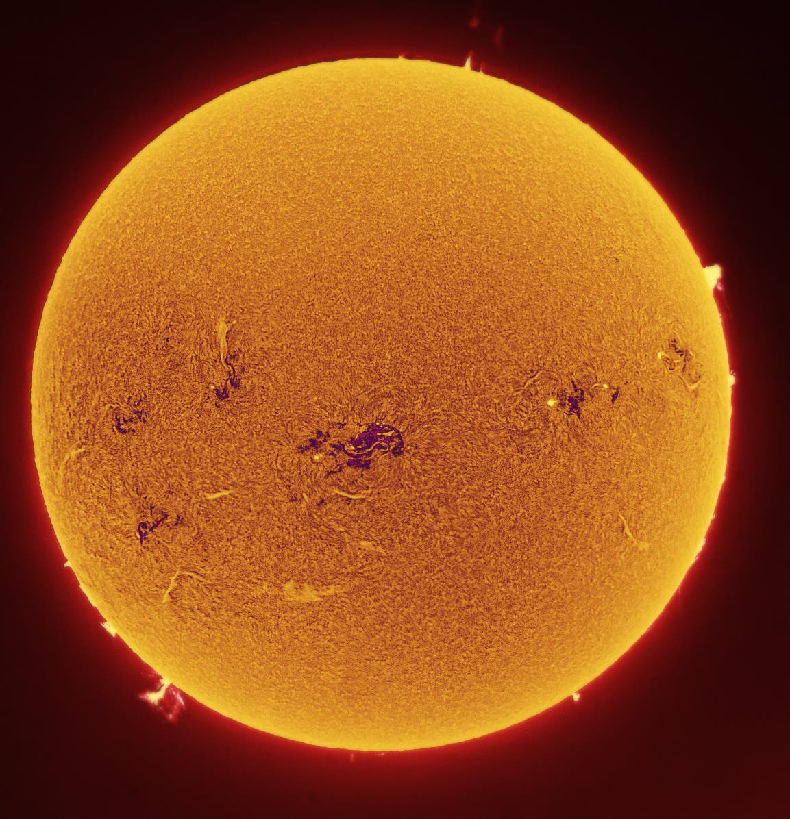 Sonne mit großen Protuberanzen im H-alpha-Licht 