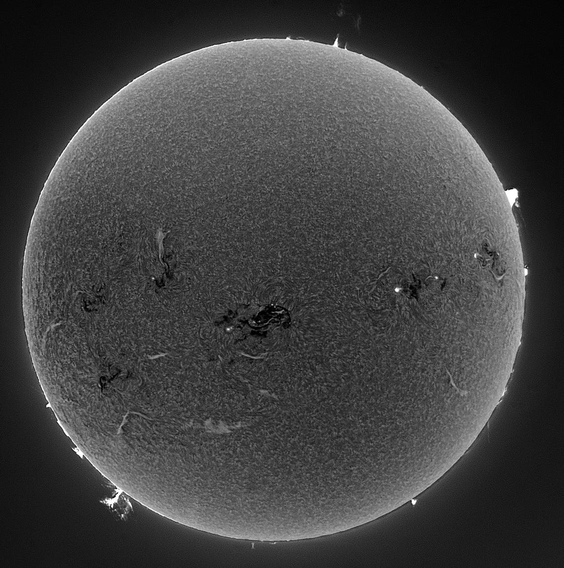Sonne am 12. Februar 2014, reversed H-alpha