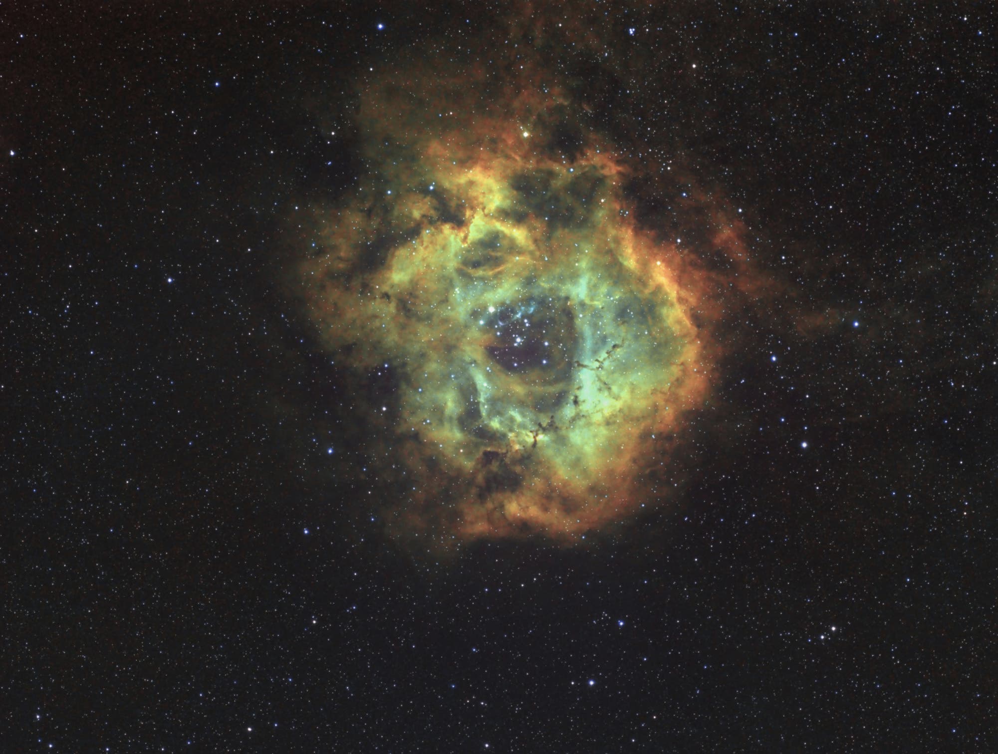NGC 2244 Rosettennebel