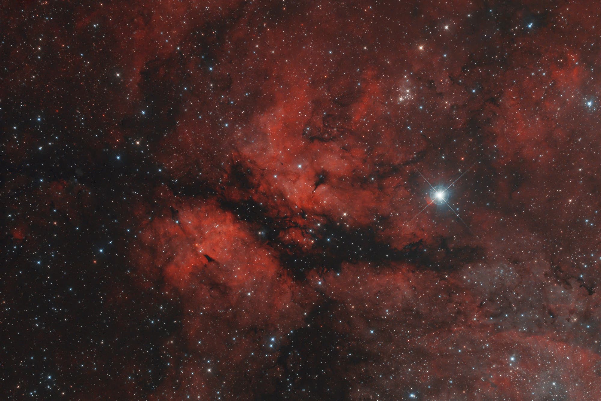 IC 1318 Gamma-Cygni-Nebel