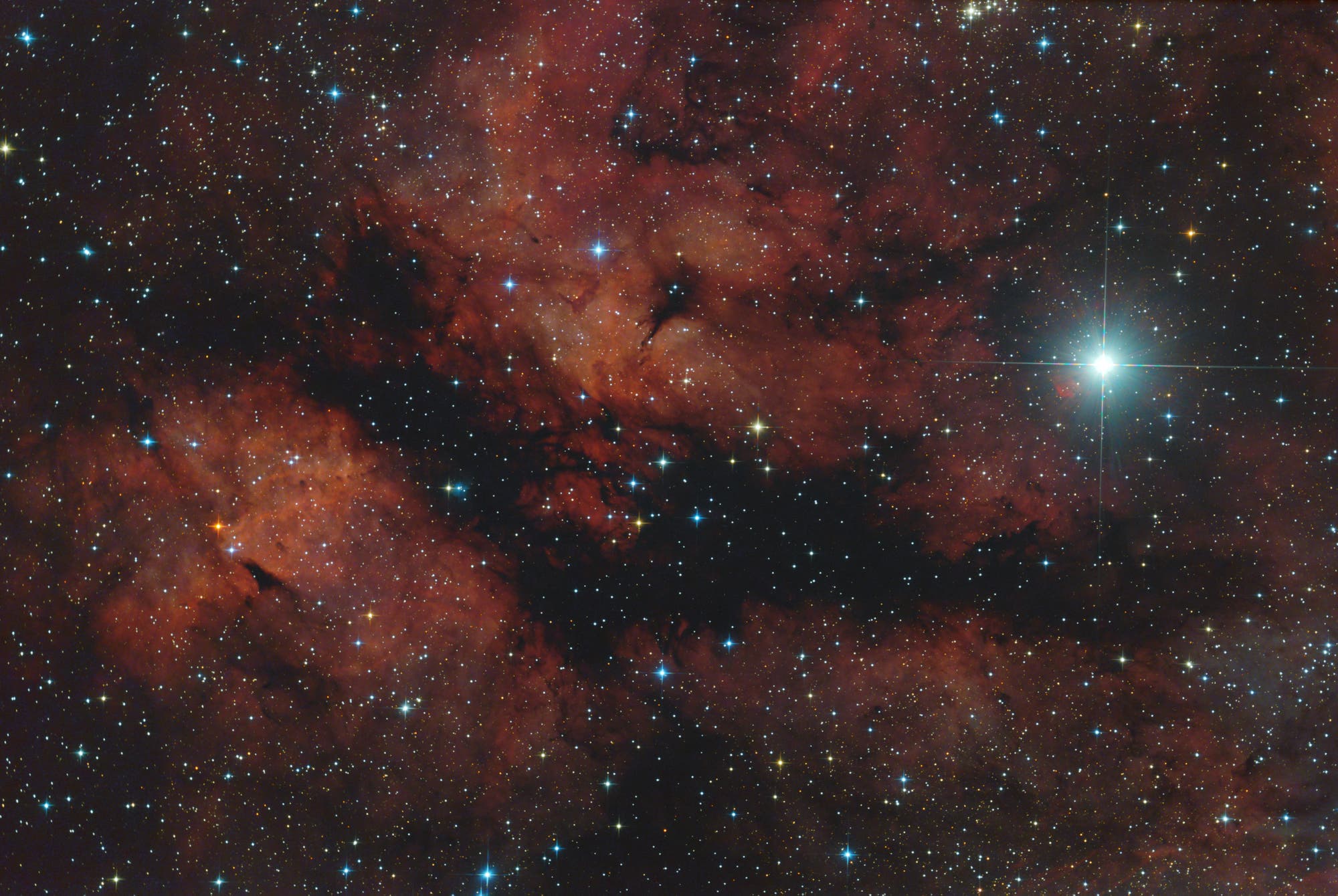 IC  1318 Gamma-Cygni-Nebel