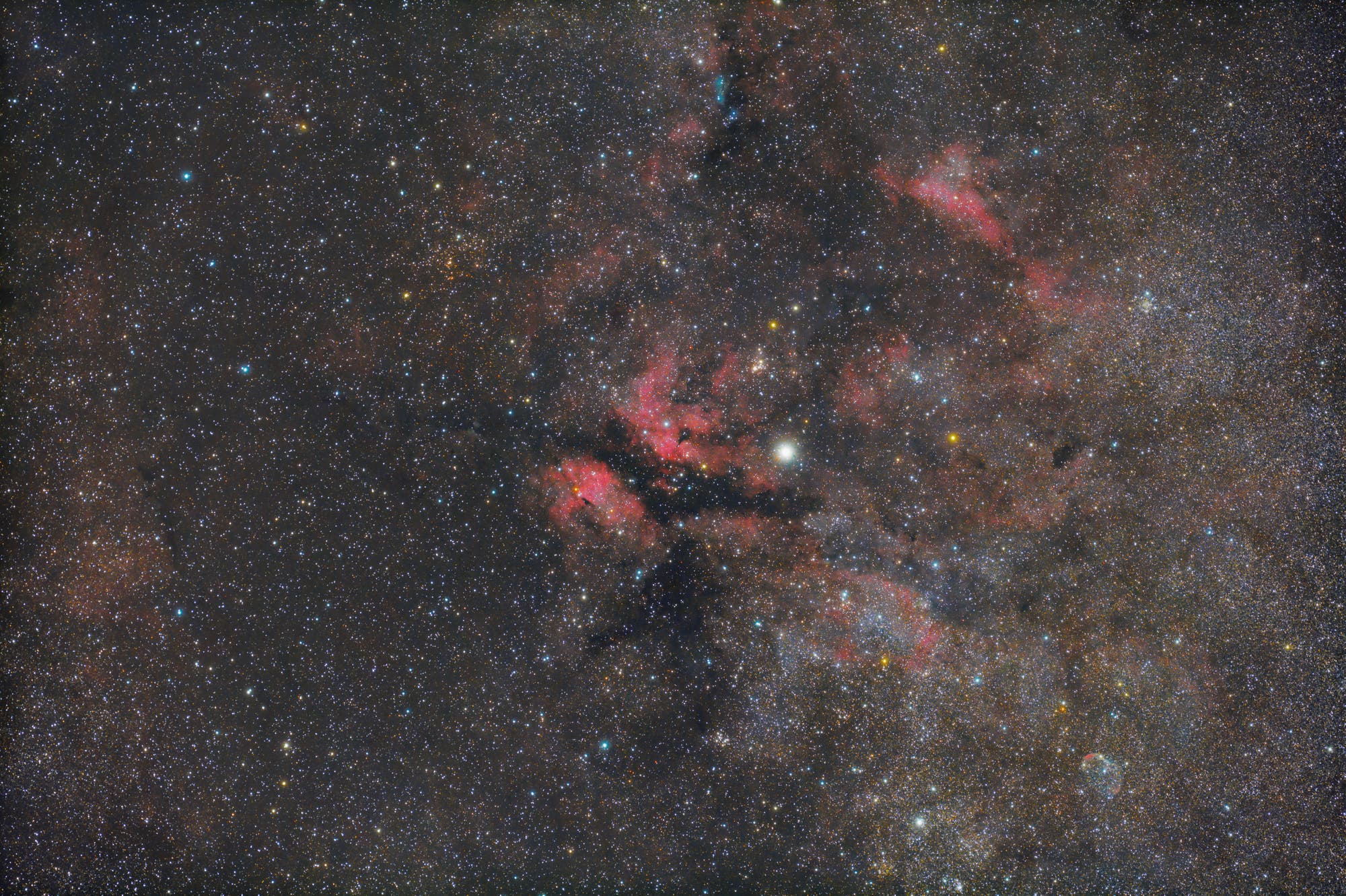 Gamma-Cygni-Nebel IC 1318