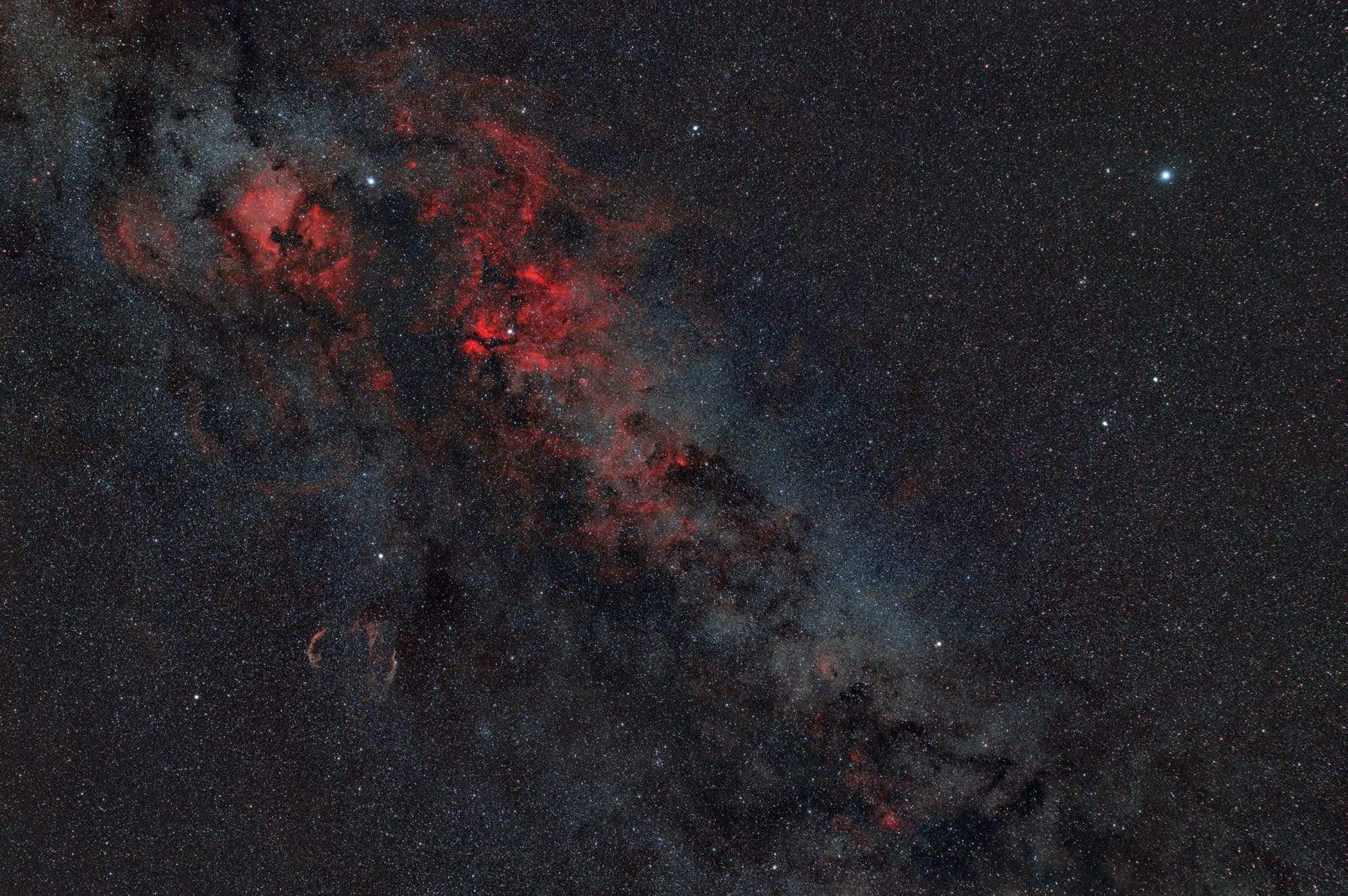 Cygnus