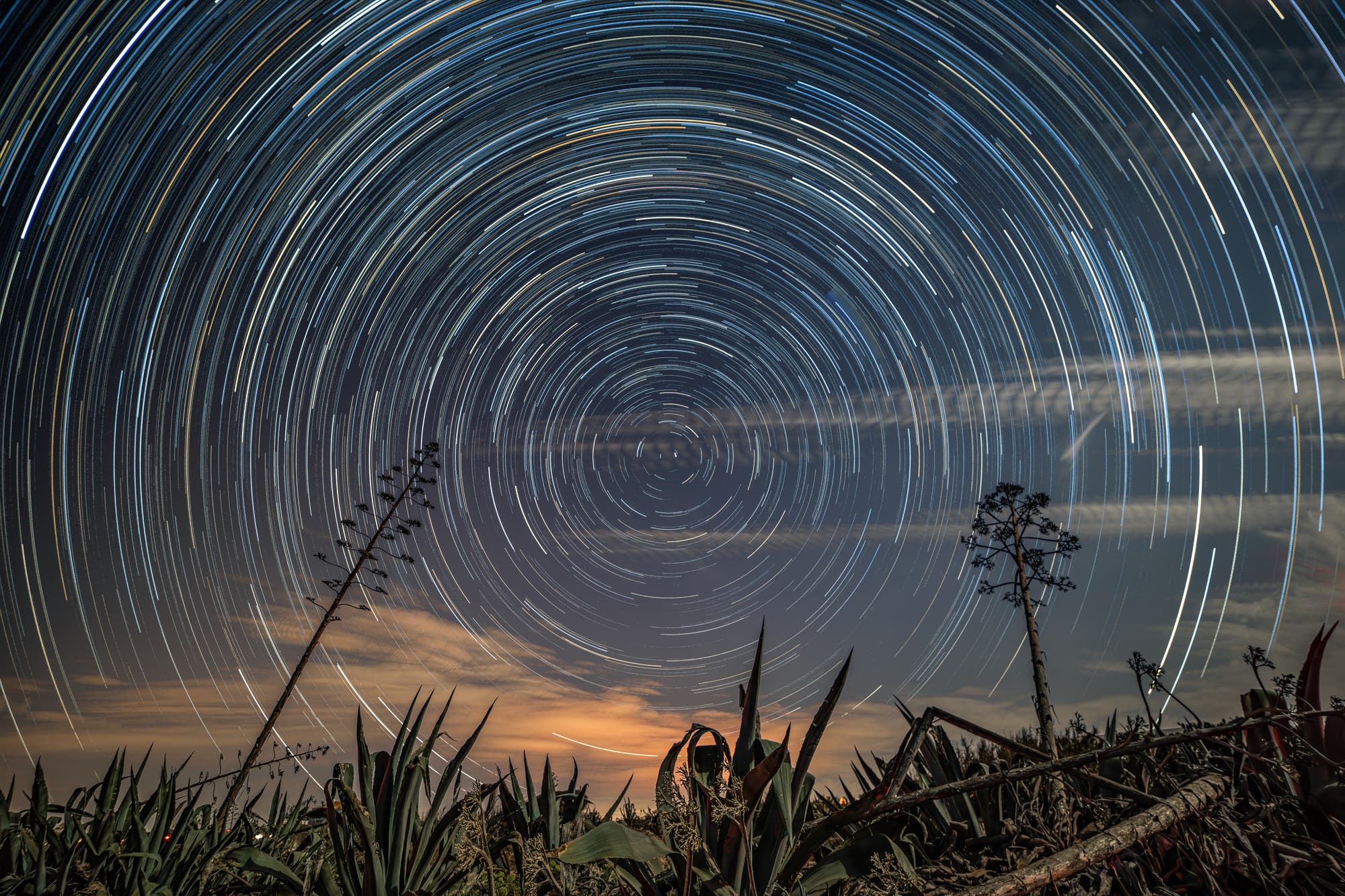 Star trails