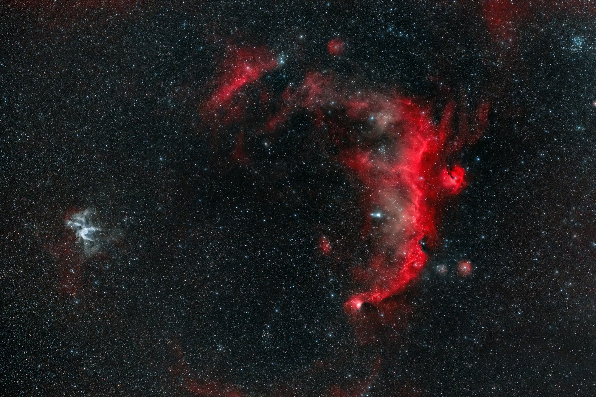 Nebel NGC 2359 und IC 2177 