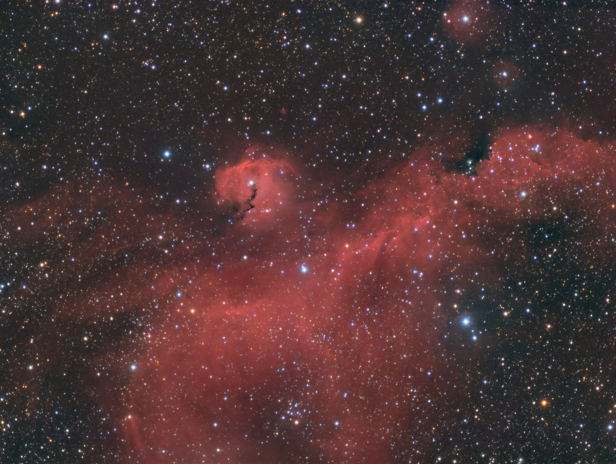 Der Möwennebel  - NGC 2177