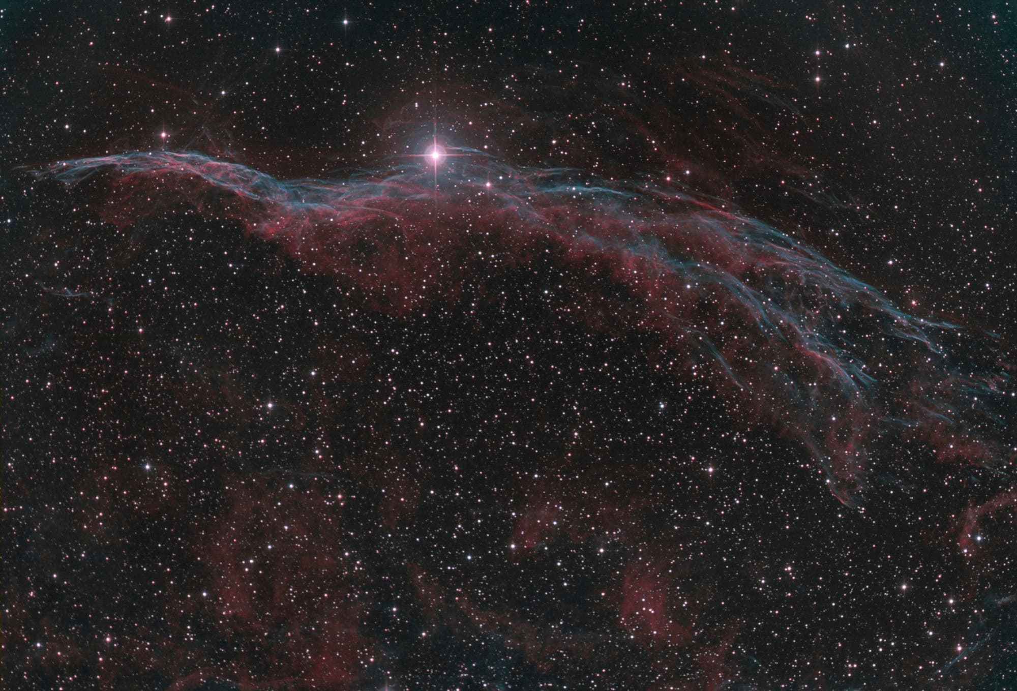 NGC 6960, Sturmvogel bicolor