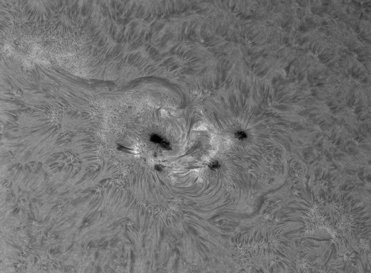 H-alpha-Sonne am 5. März 2011 - Detailansicht