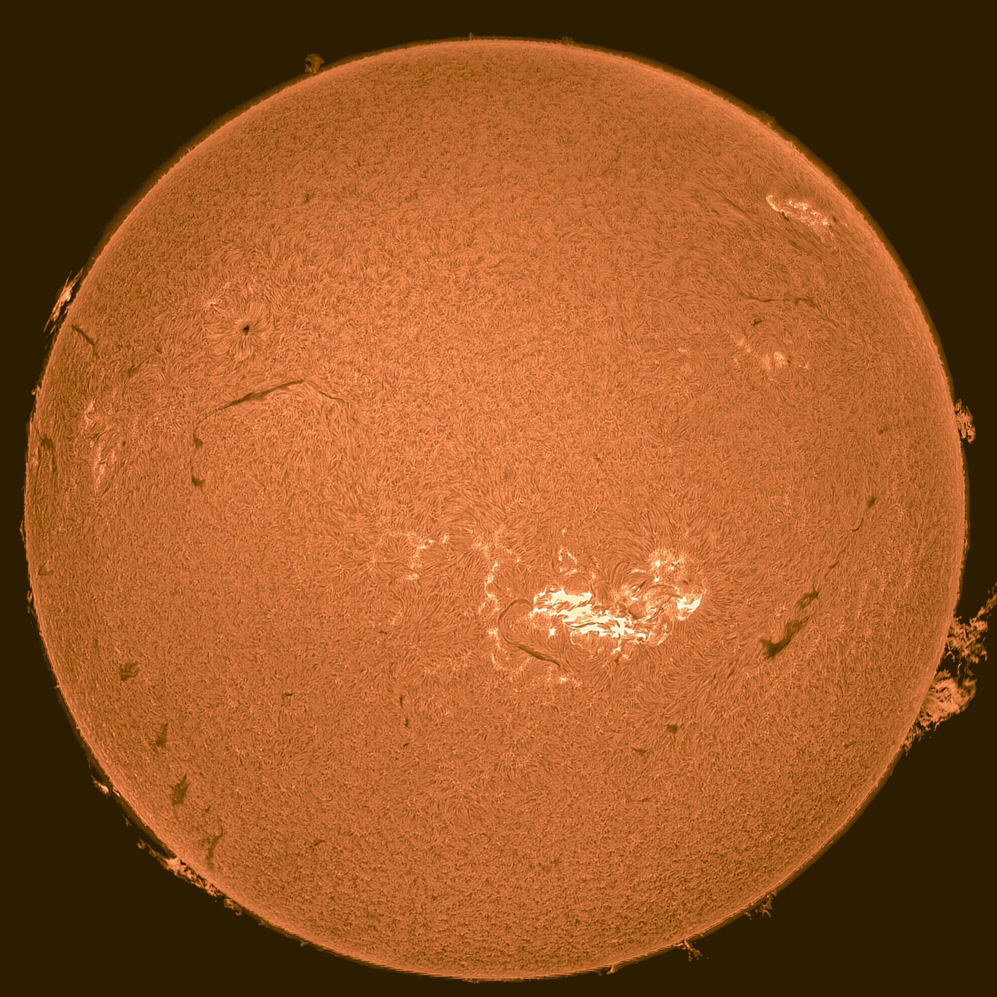H-alpha-Sonne 8. Mai 2024