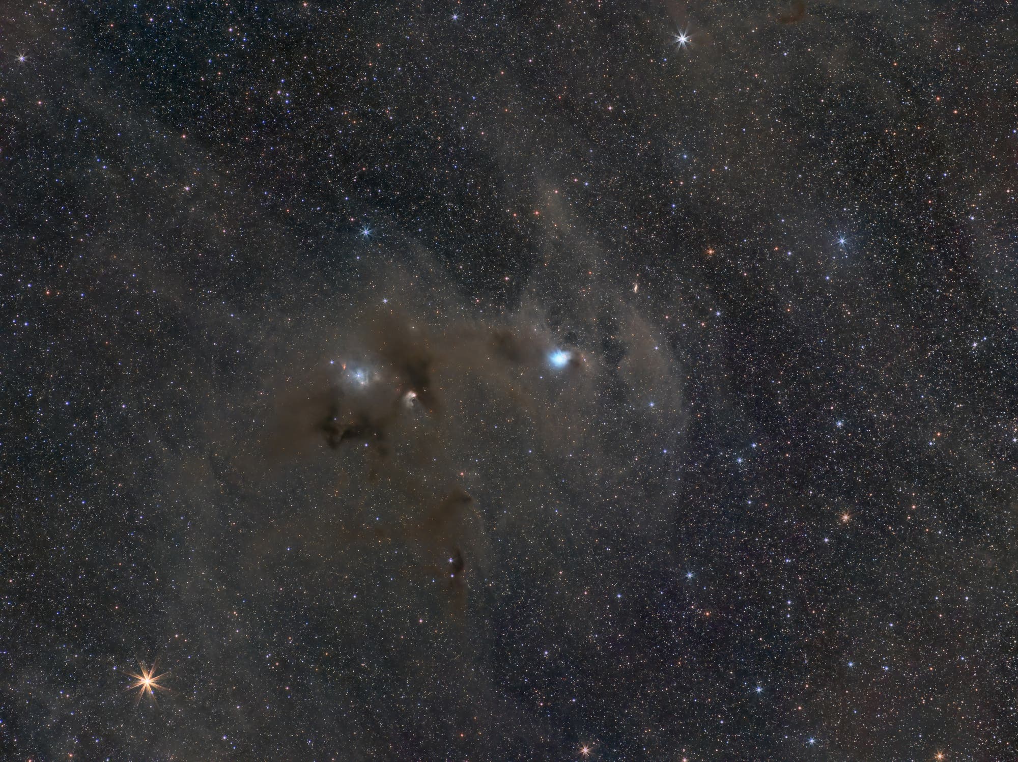 IC 2631 und Dunkelwolken im Sternbild Chamäleon
