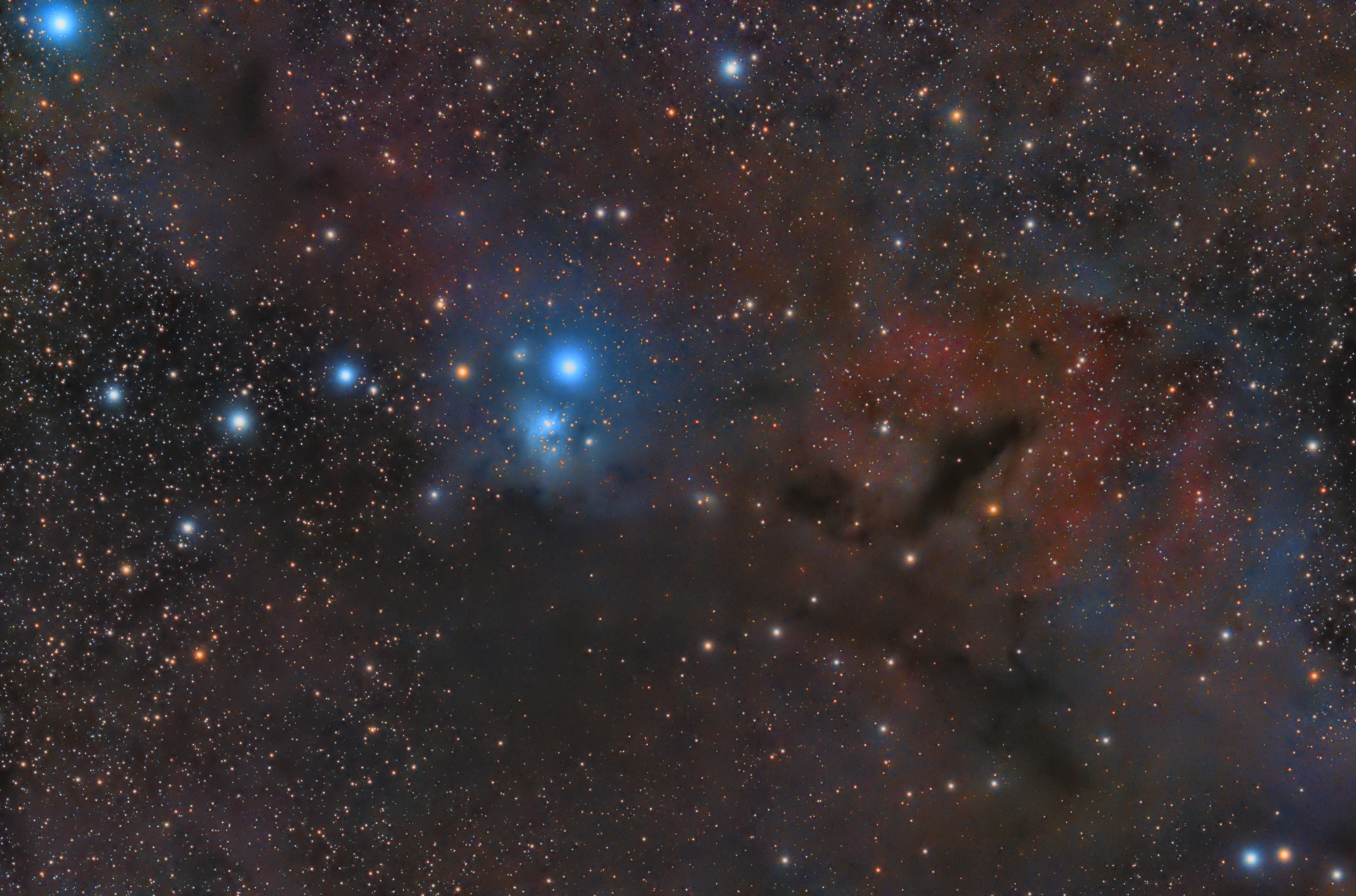 IC 348 Reflexionsnebel & Umgebung