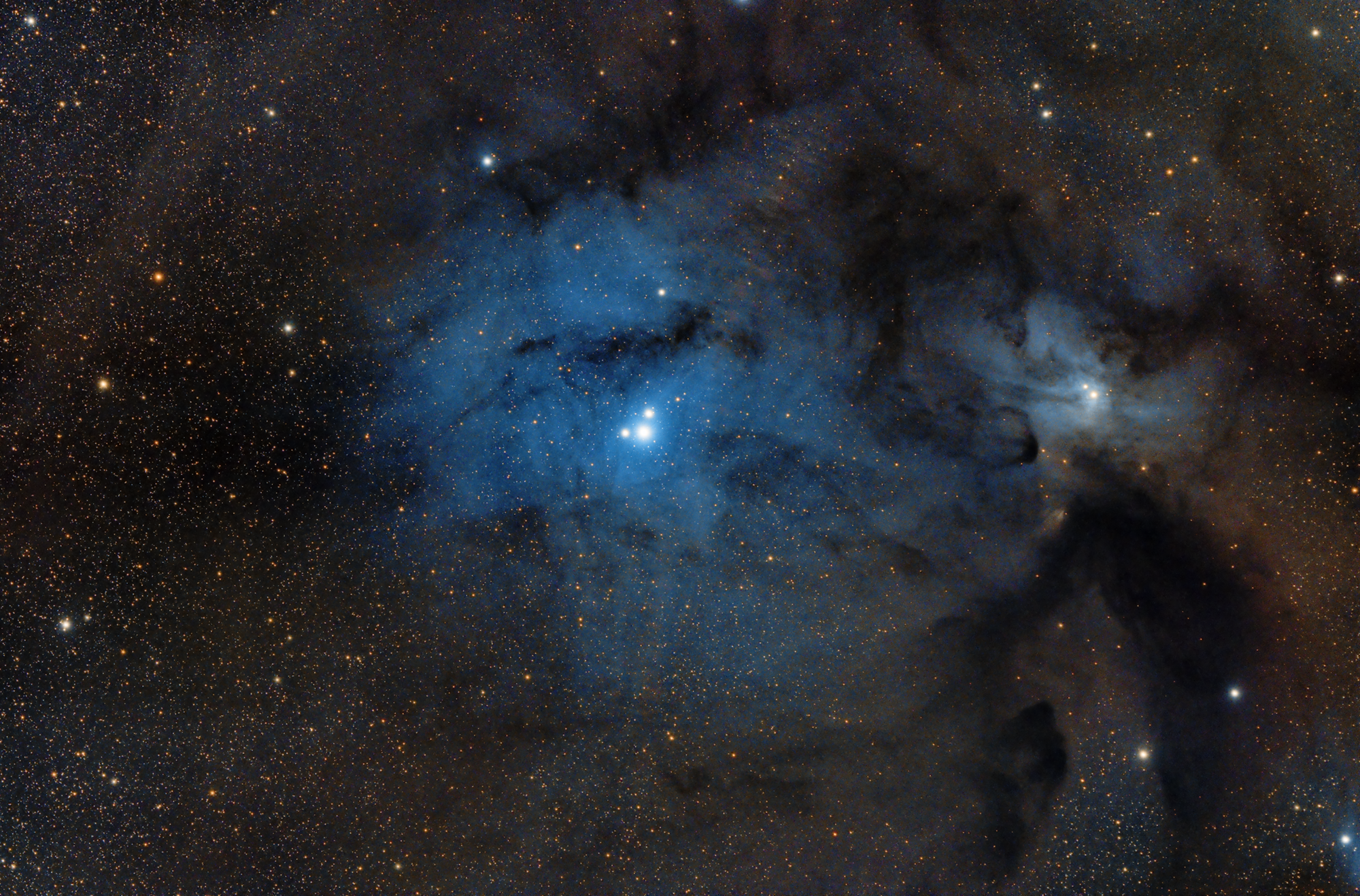 IC 4604 Rho-Ophiuchi-Nebelkomplex