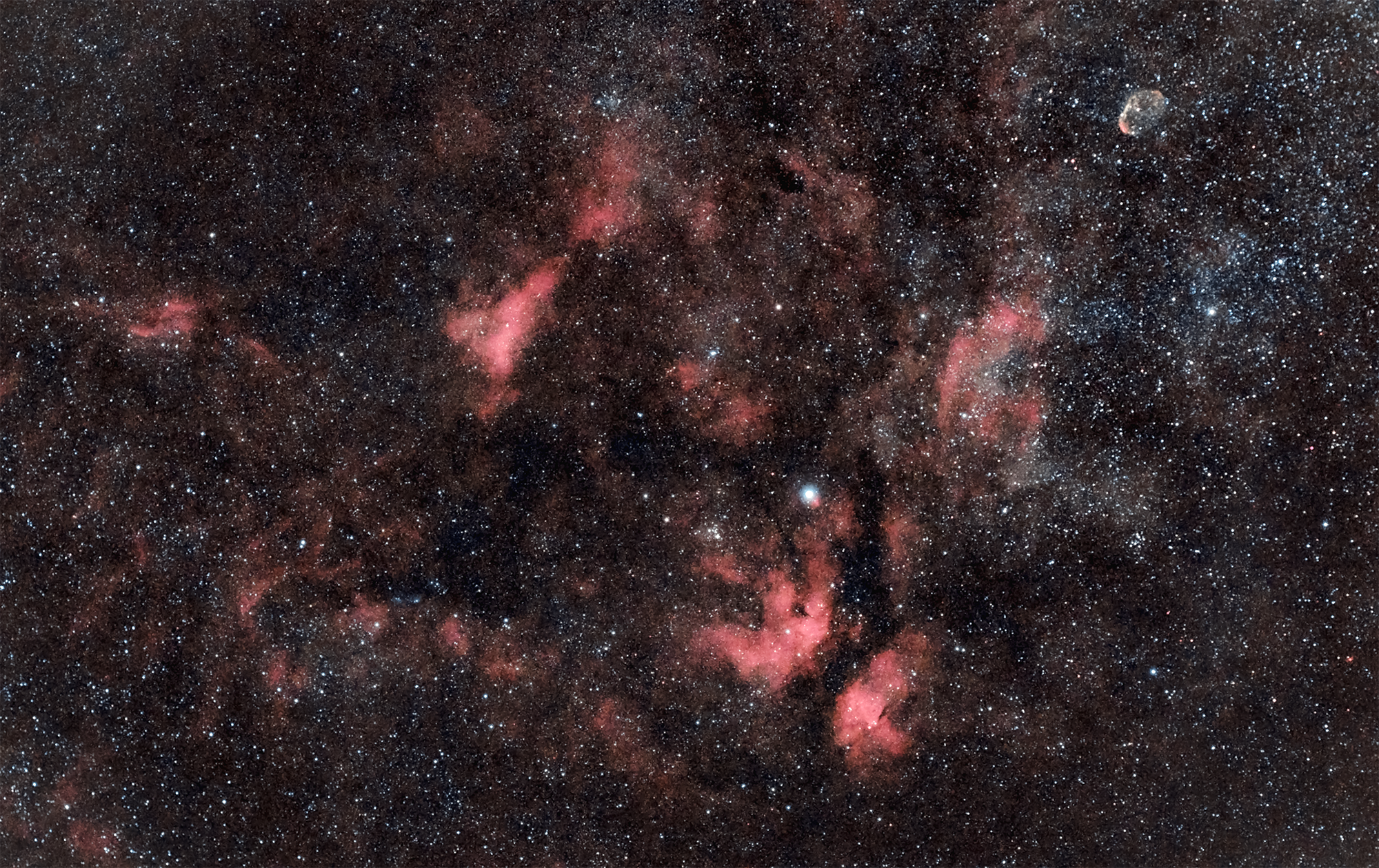 Schmetterlingsnebel IC1318 im Sternbild Schwan 