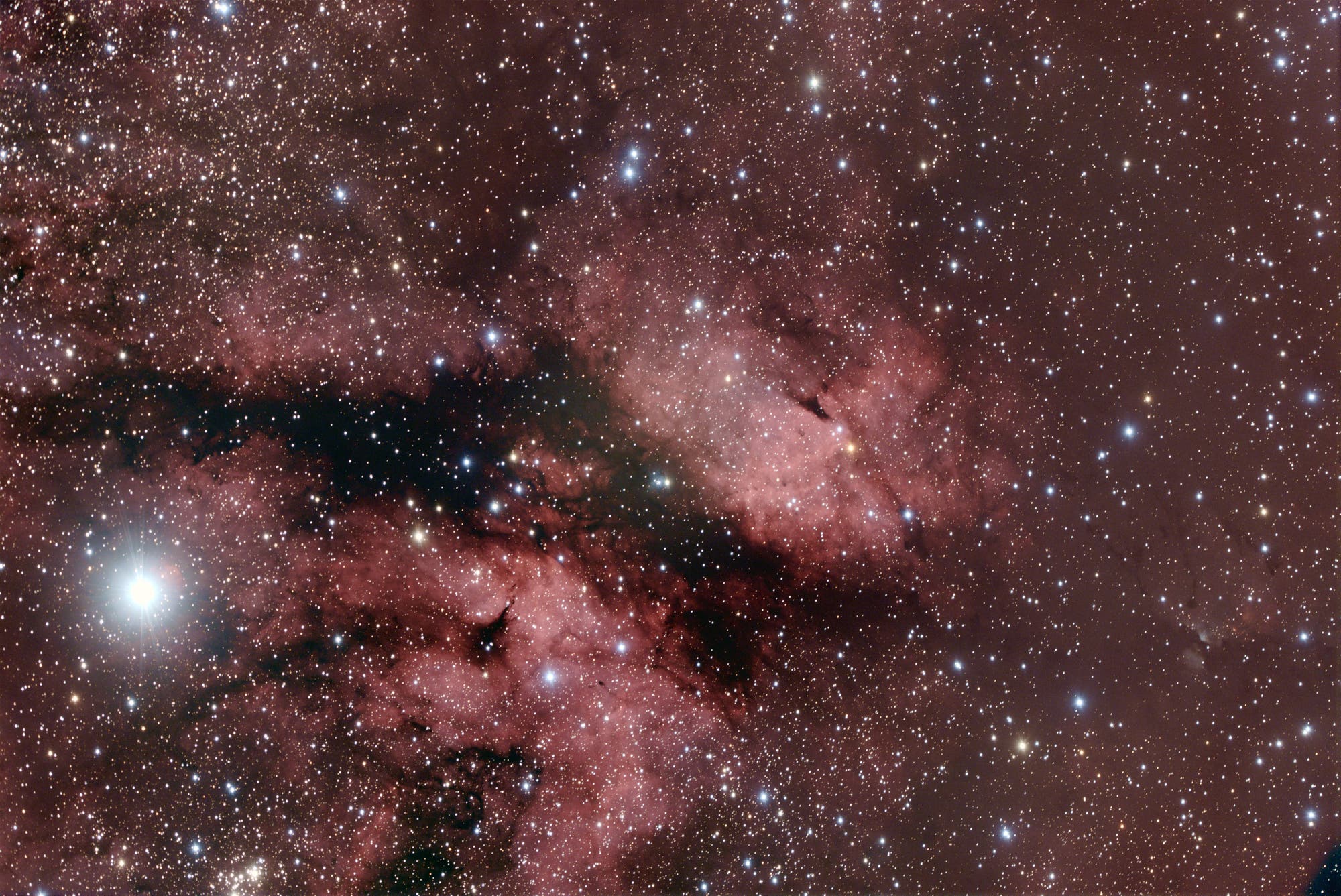 IC1318 im Sternbild Schwan
