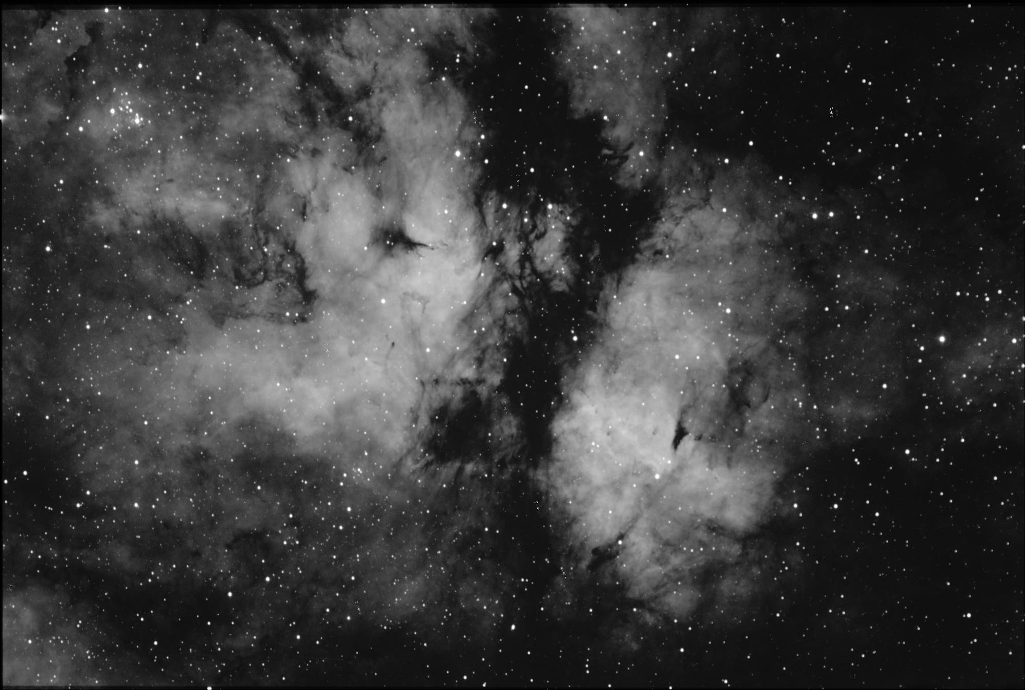 IC 1318 – Gamma-Cygni-Nebula (2)