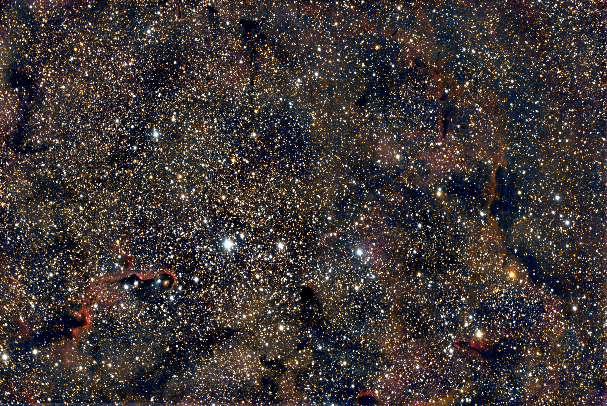 IC1396  - Gegend um den Elefantenrüsselnebel